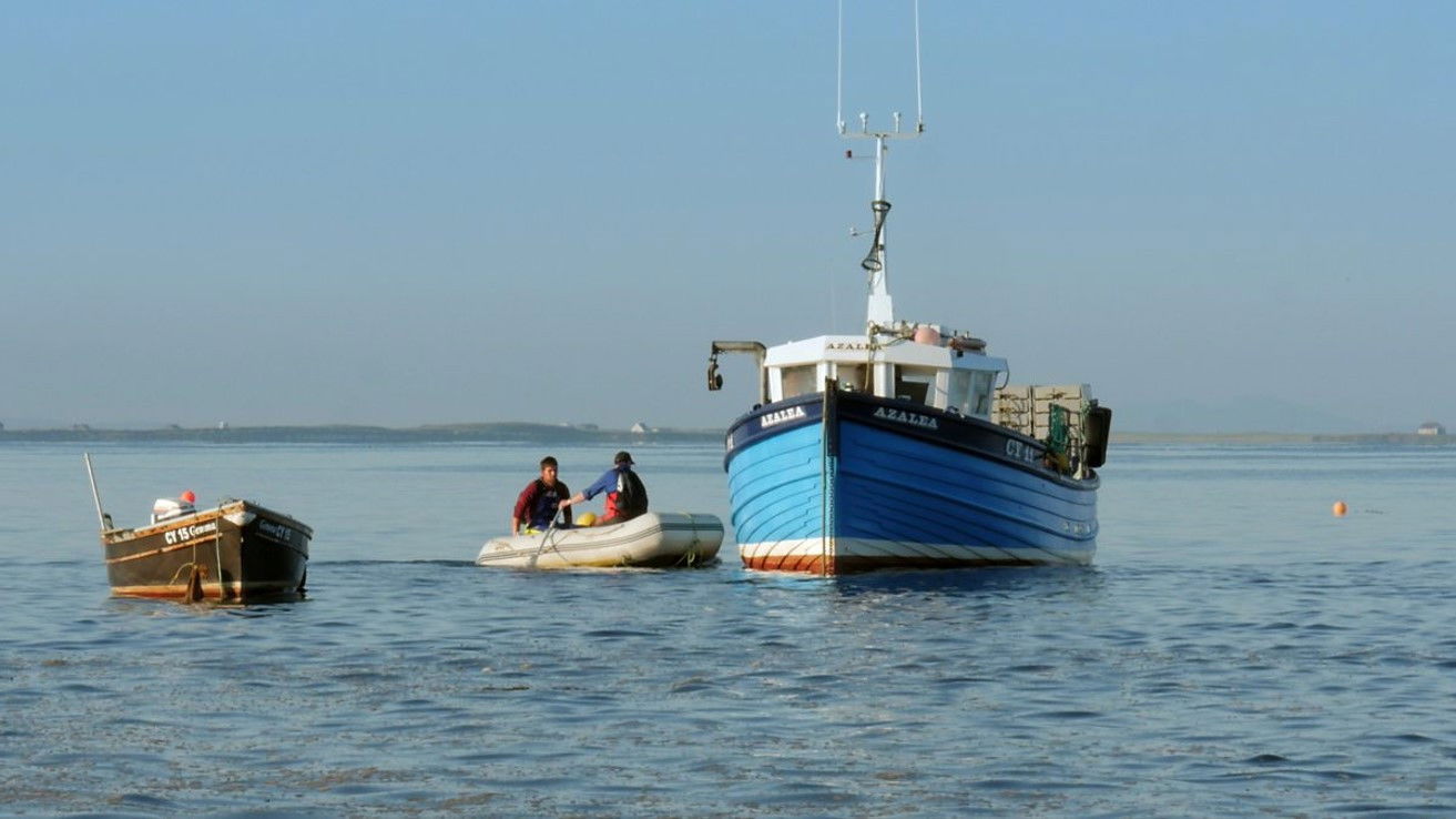 Backdrop for Boat Song