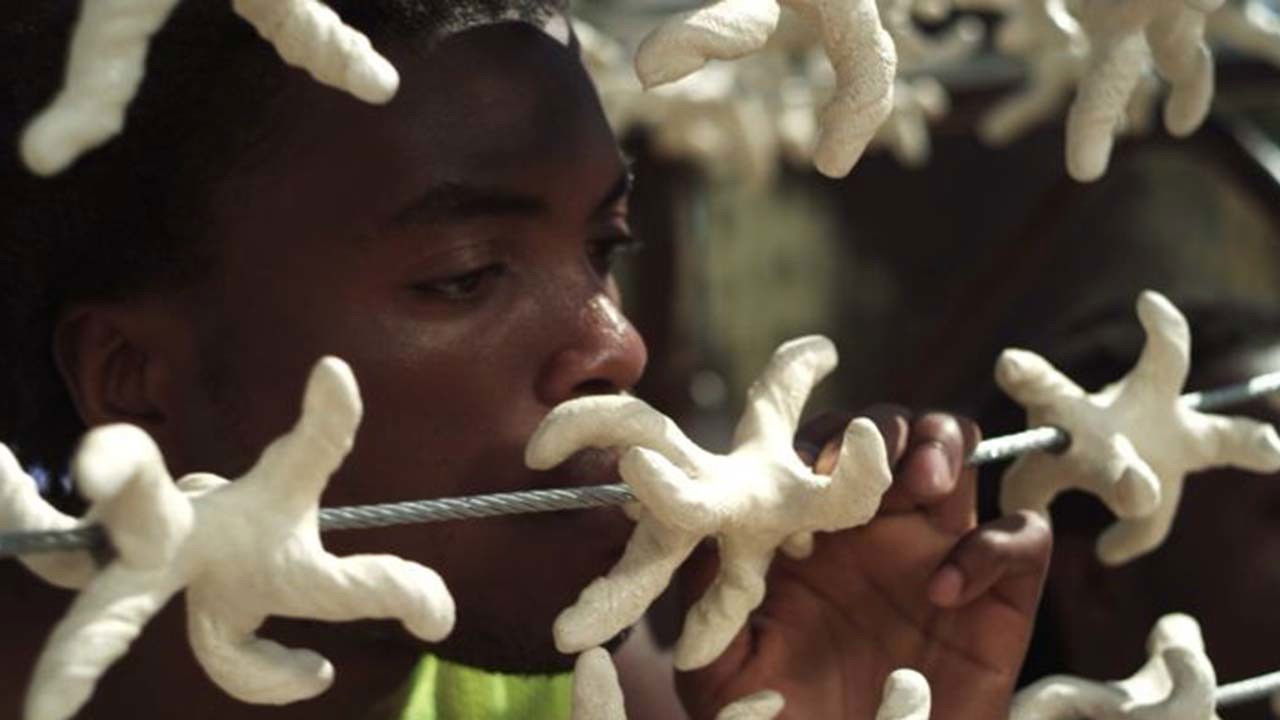 Backdrop for Black Star