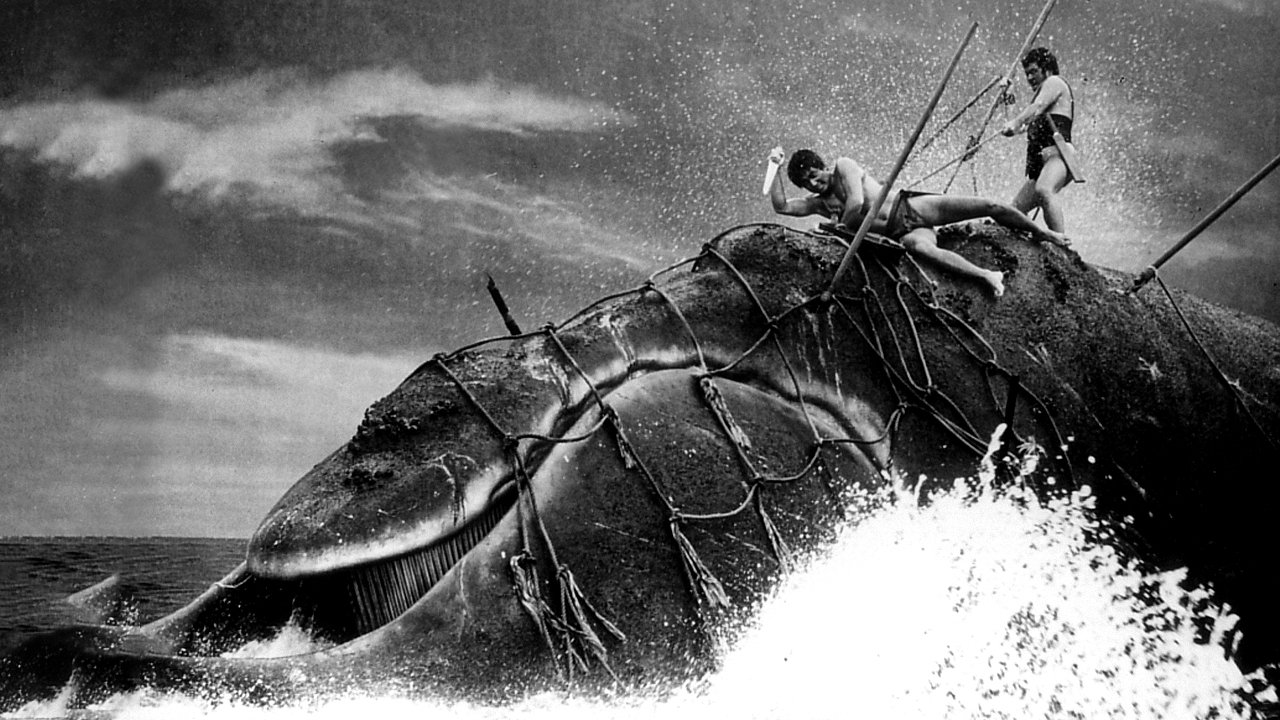 Backdrop for The Whale God