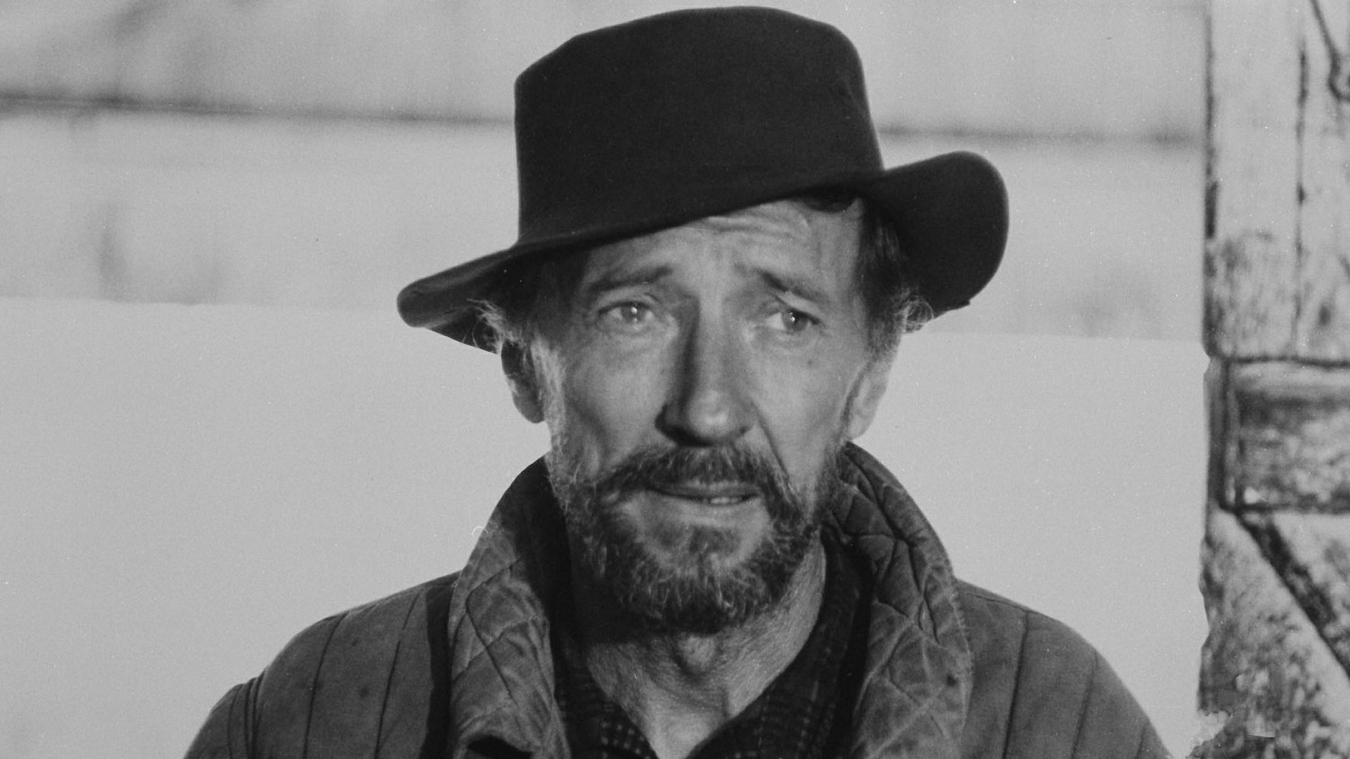 Backdrop for Stardust