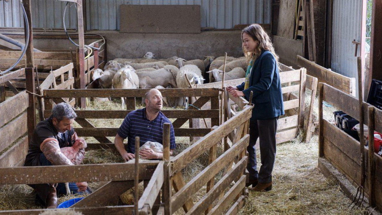 Backdrop for La Doc et le Véto