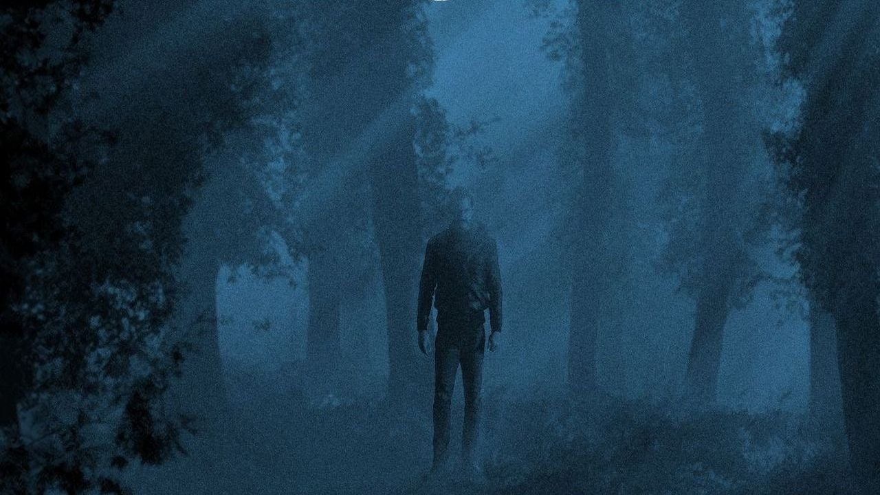 Backdrop for Shadow of the Wolf