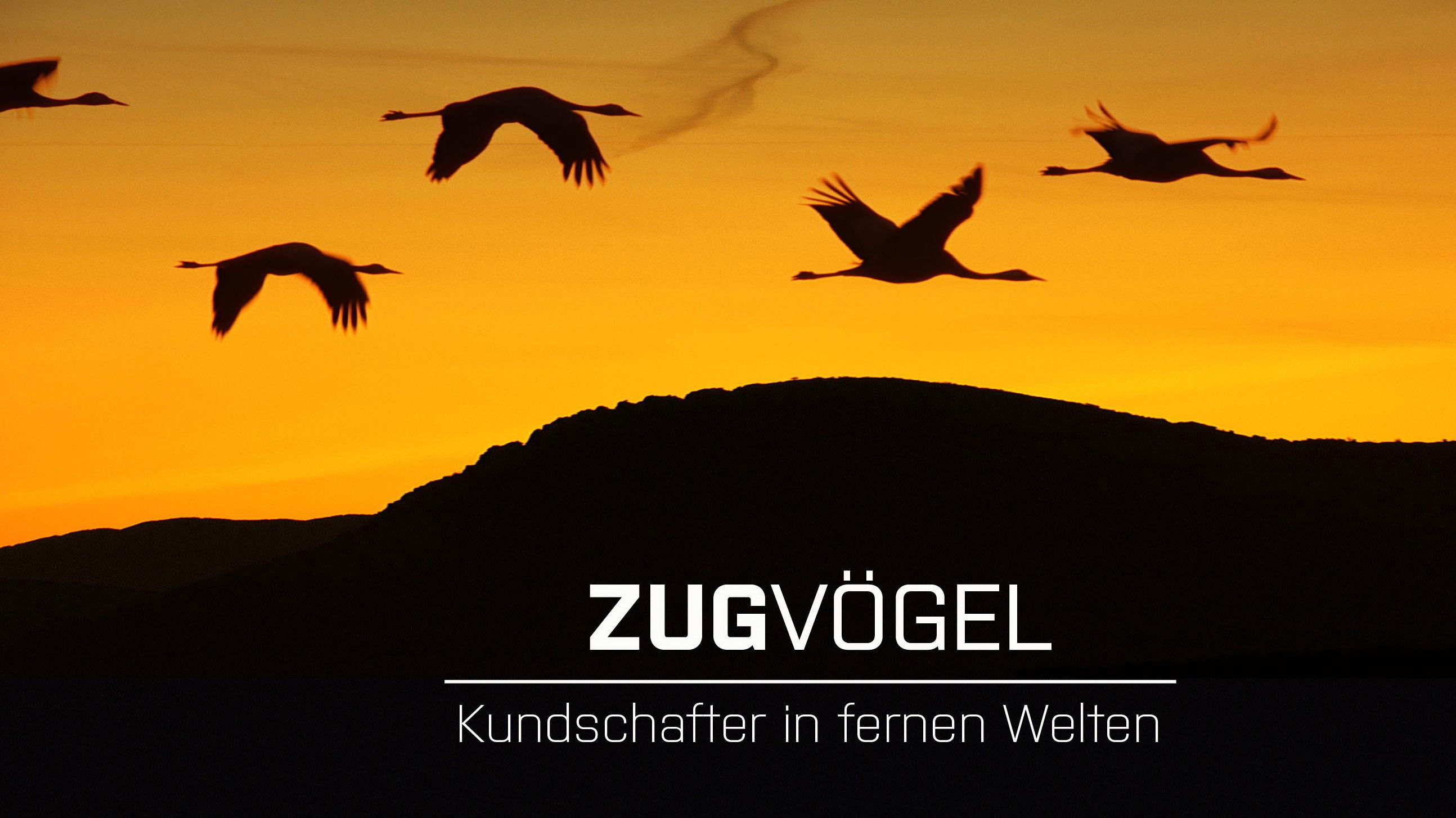 Backdrop for Zugvögel - Kundschafter in fernen Welten