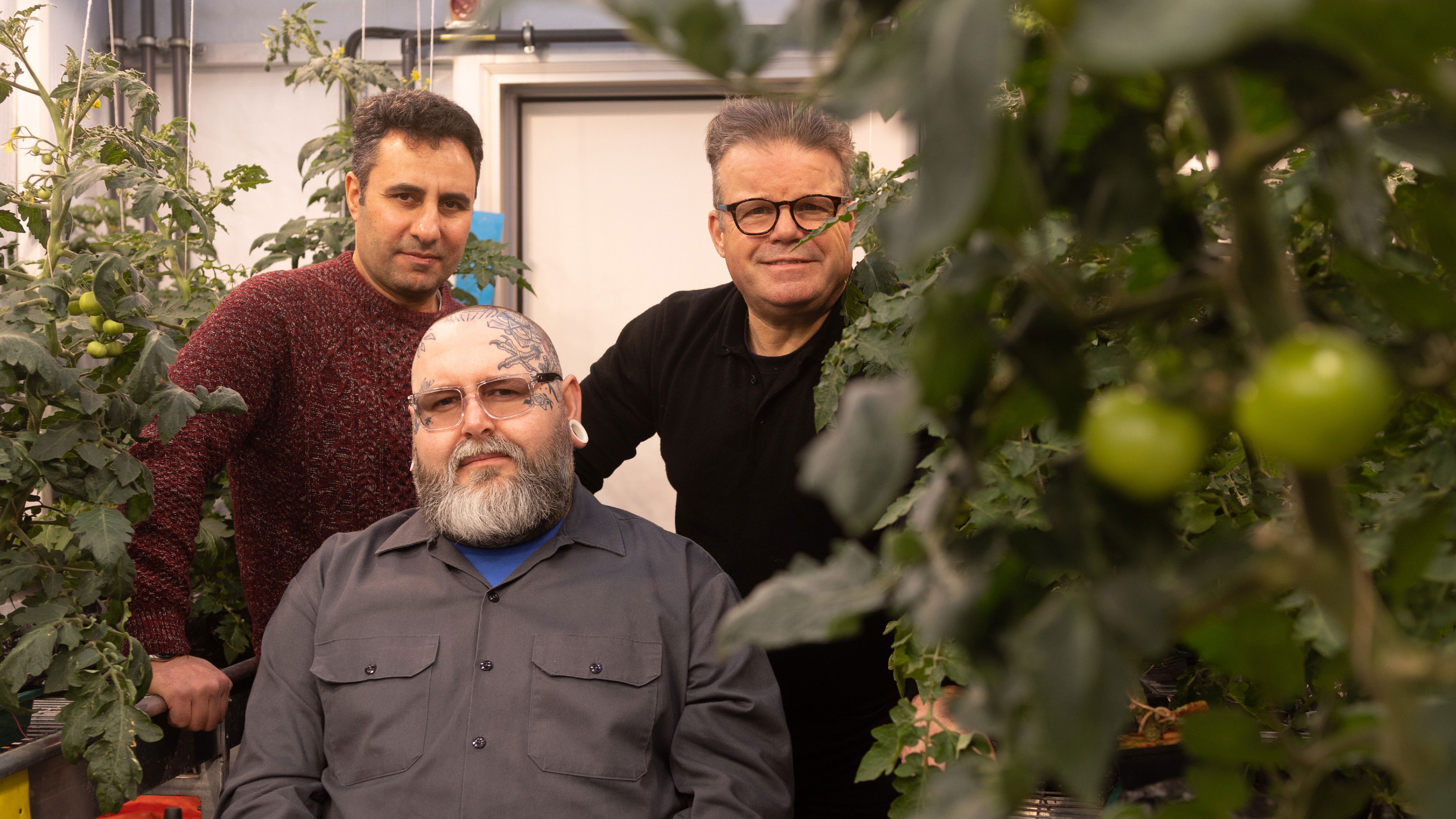 Backdrop for The Catastrophe Garden