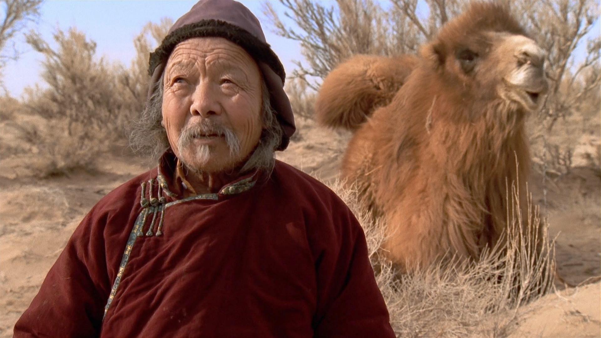 Backdrop for The Story of the Weeping Camel