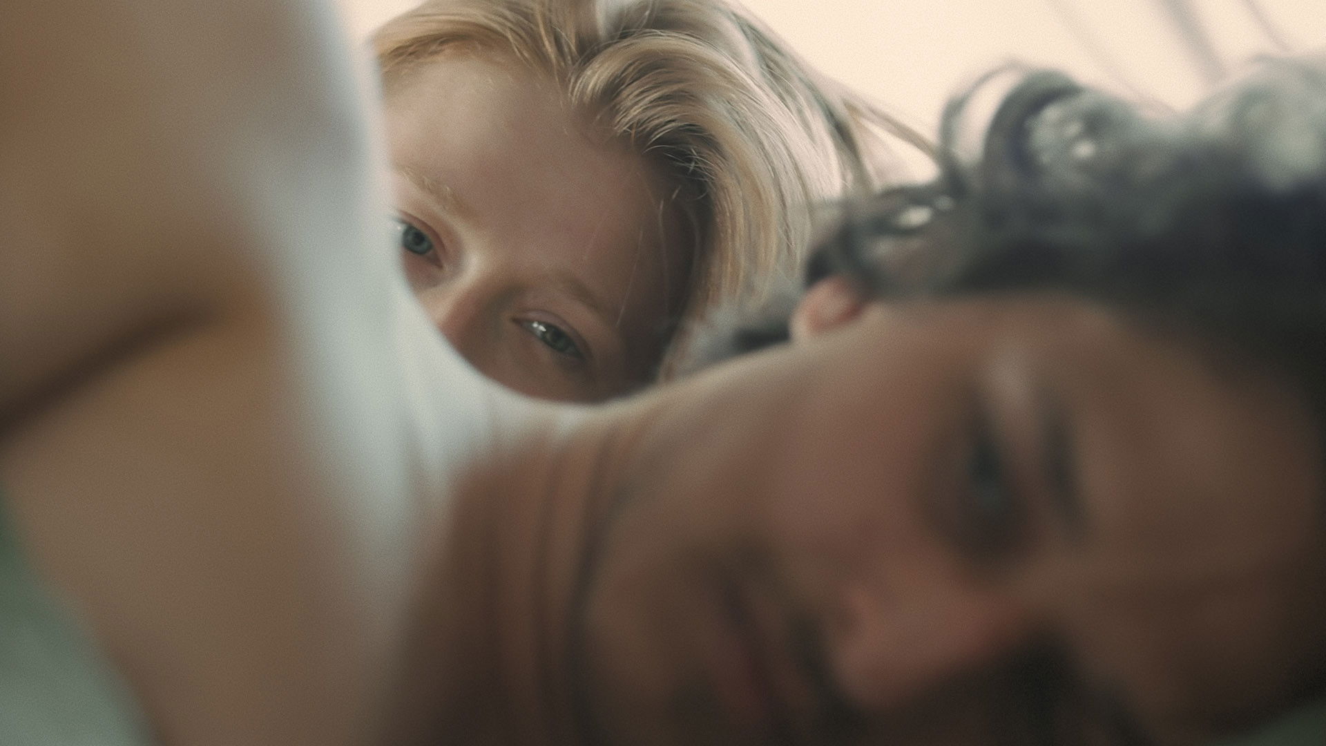 Backdrop for Songs for a Fox