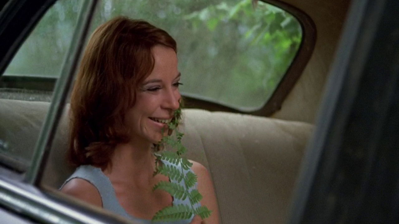 Backdrop for Taureau