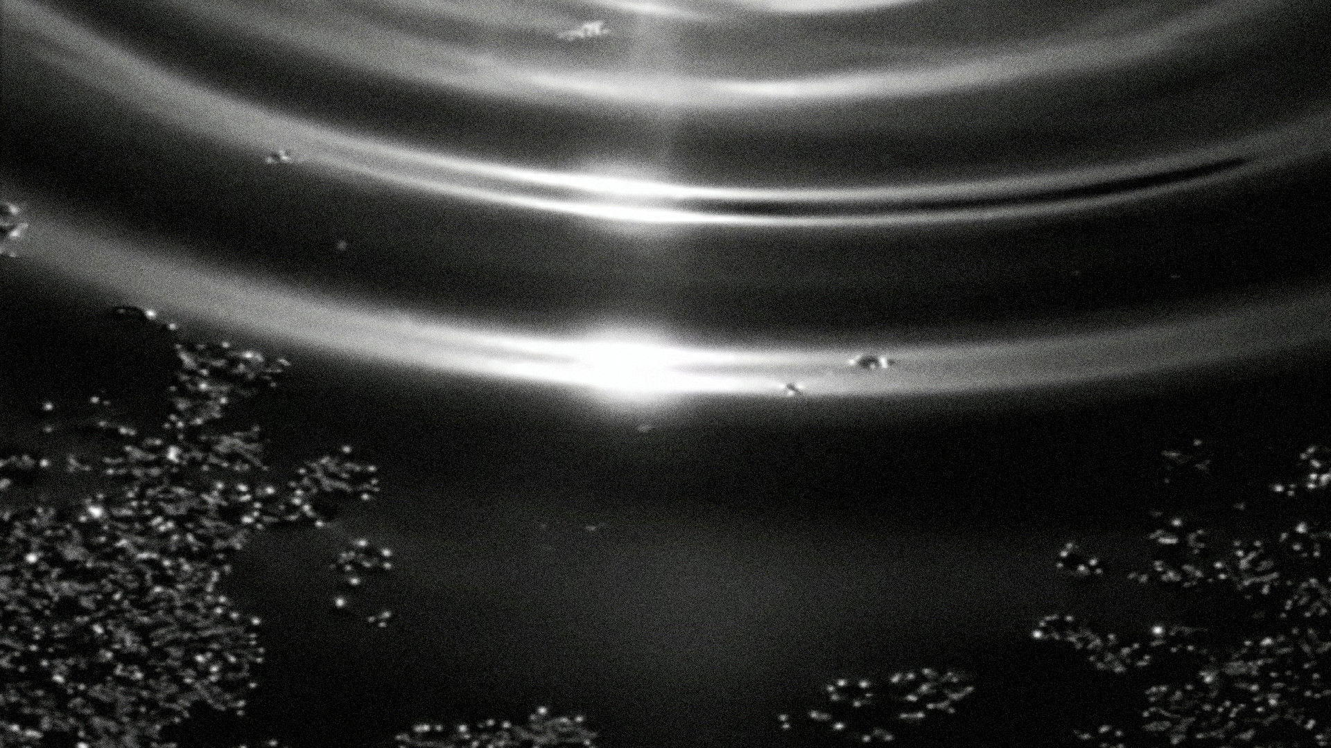 Backdrop for Panta Rhei