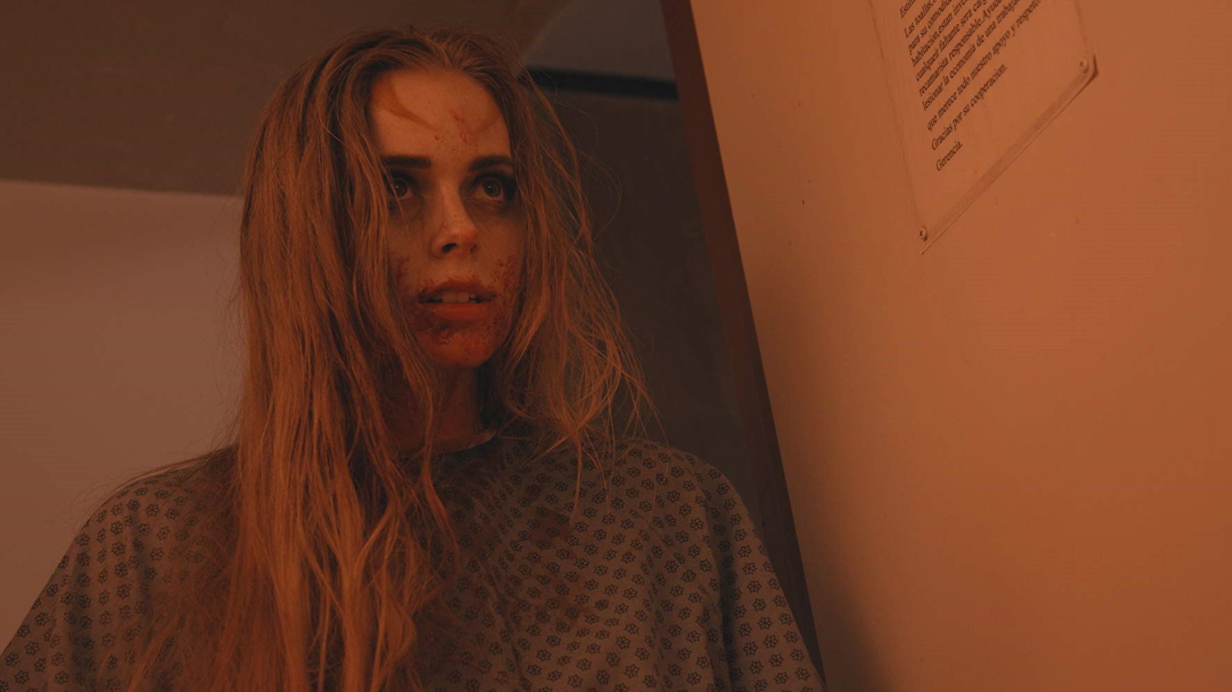 Backdrop for Araniella