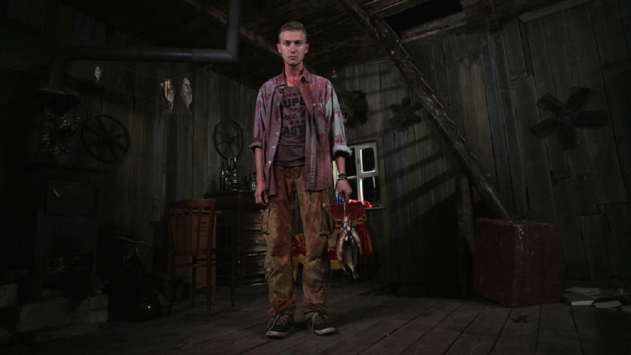 Backdrop for Blueberry Fields