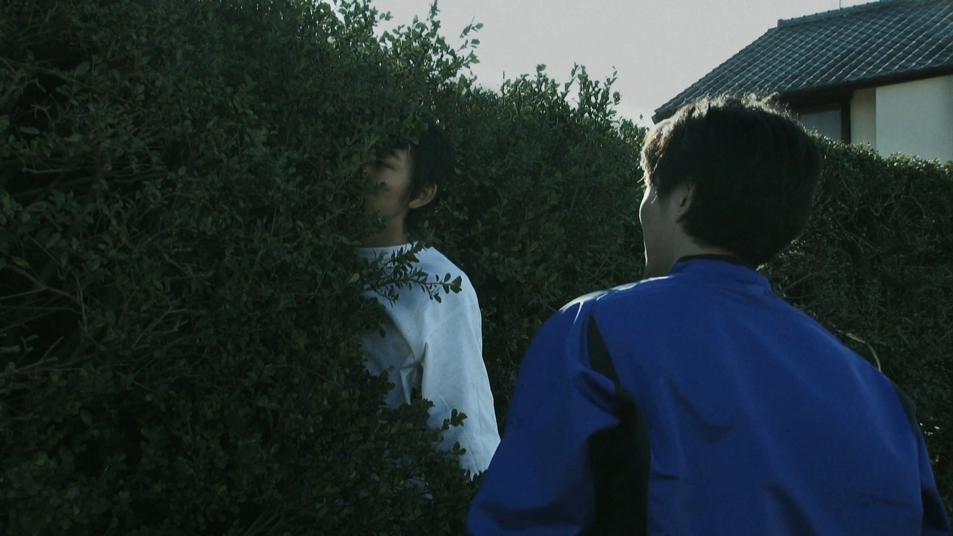 Backdrop for Pet Peeve