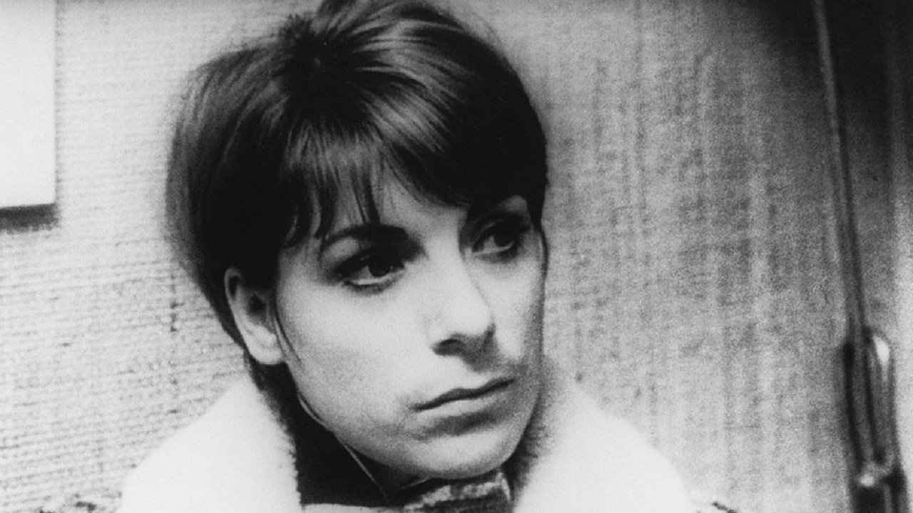 Backdrop for Artists Under the Big Top: Perplexed