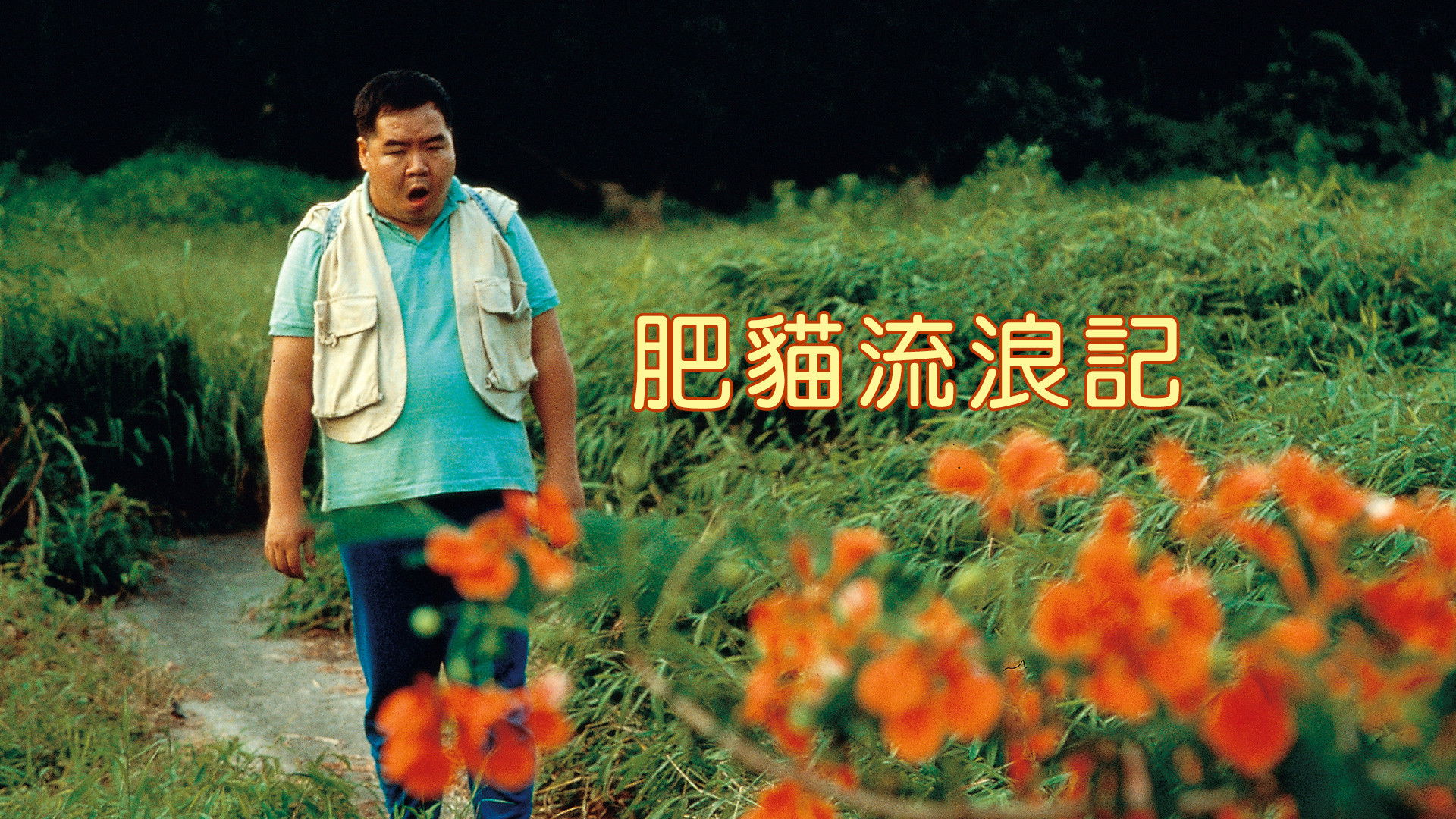 Backdrop for The Beloved Son of God