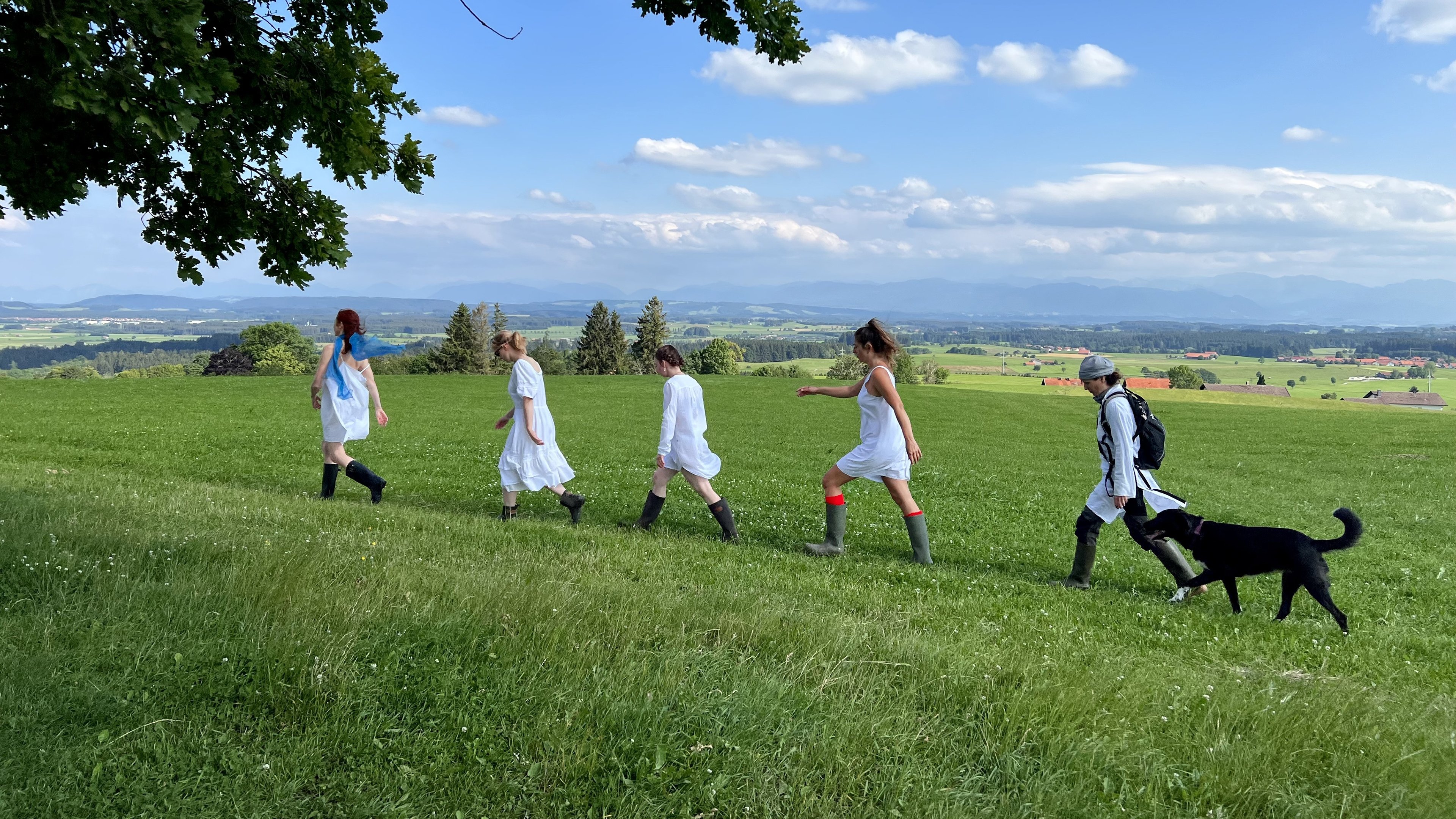 Backdrop for There is a Hausen Everywhere