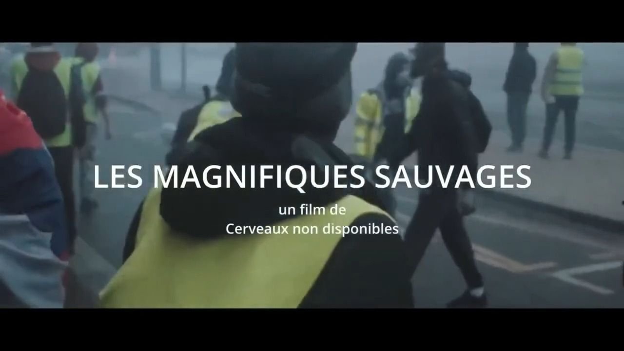 Backdrop for Les Magnifiques sauvages