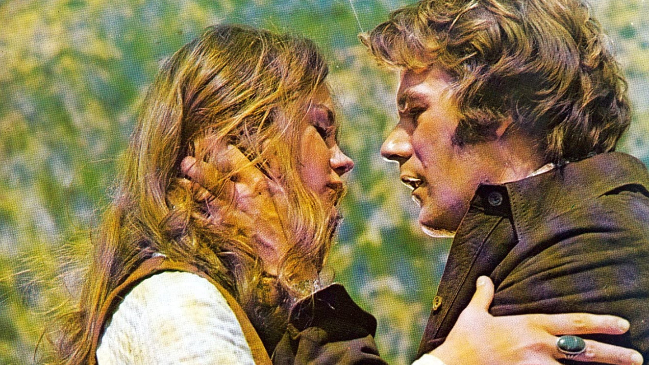 Backdrop for The Todd Killings