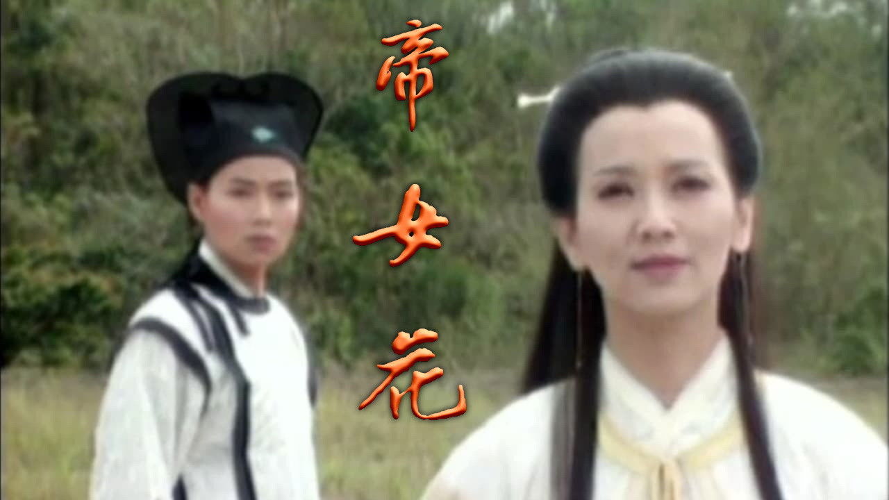 Backdrop for 乱世不了情