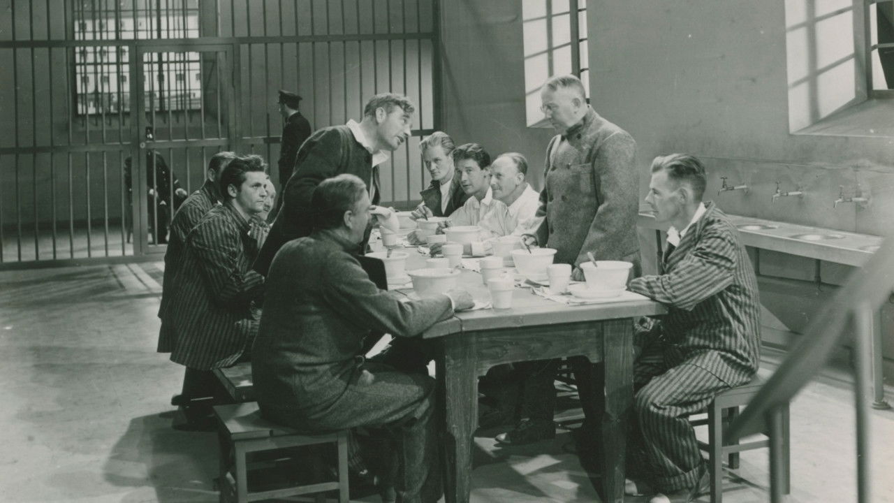 Backdrop for Ungdom i bojor