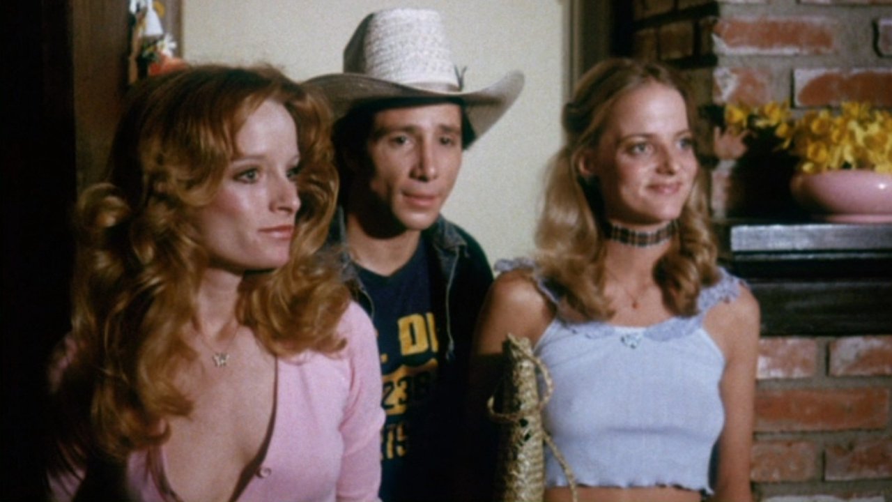 Backdrop for The Great Texas Dynamite Chase