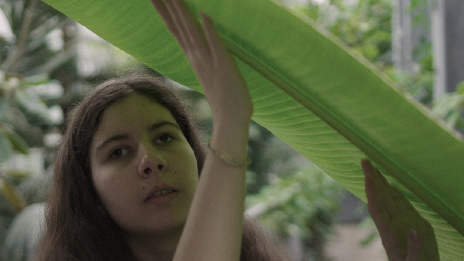 Backdrop for I See in the Dark