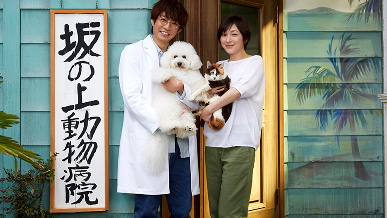Backdrop for Sakanoue Animal Clinic Story