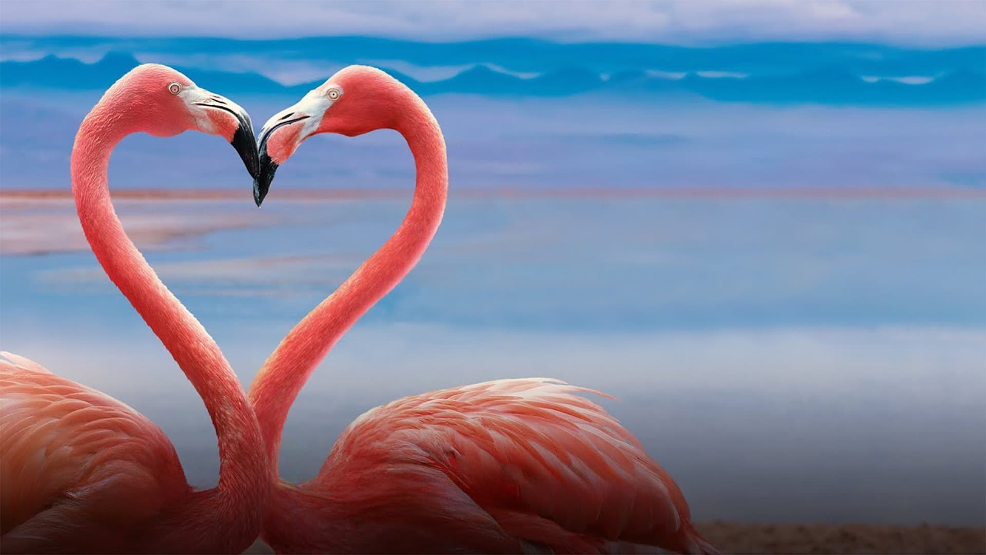 Backdrop for Queer Planet