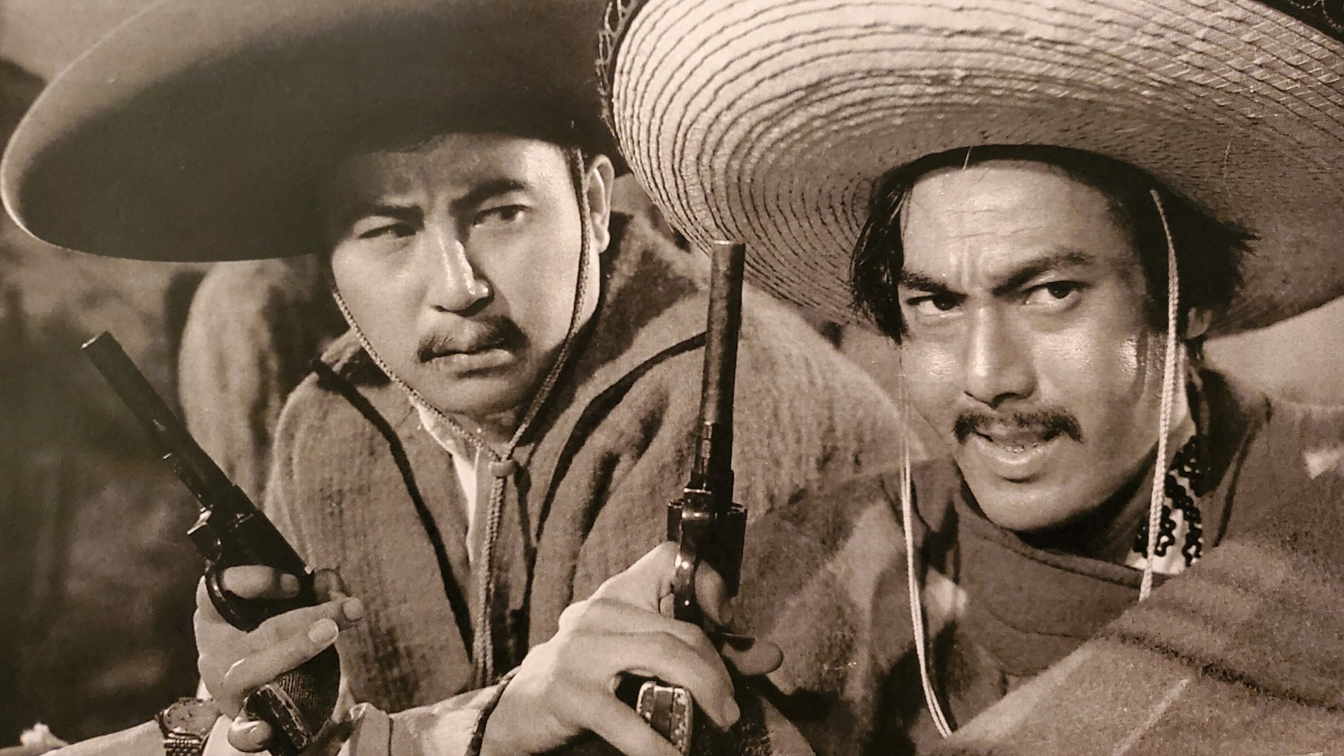 Backdrop for Mekishiko mushuku