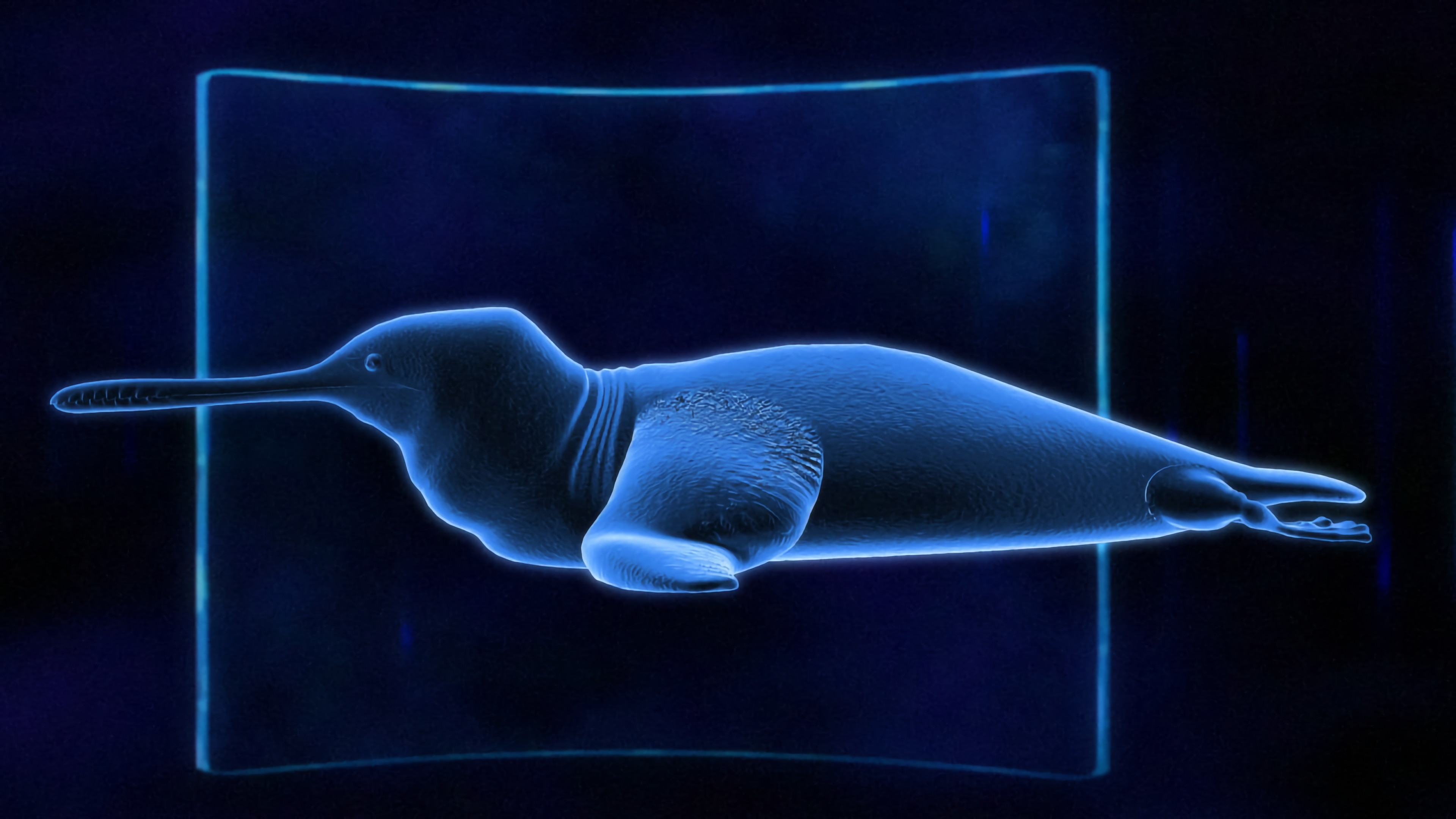 Backdrop for The Future Is Wild