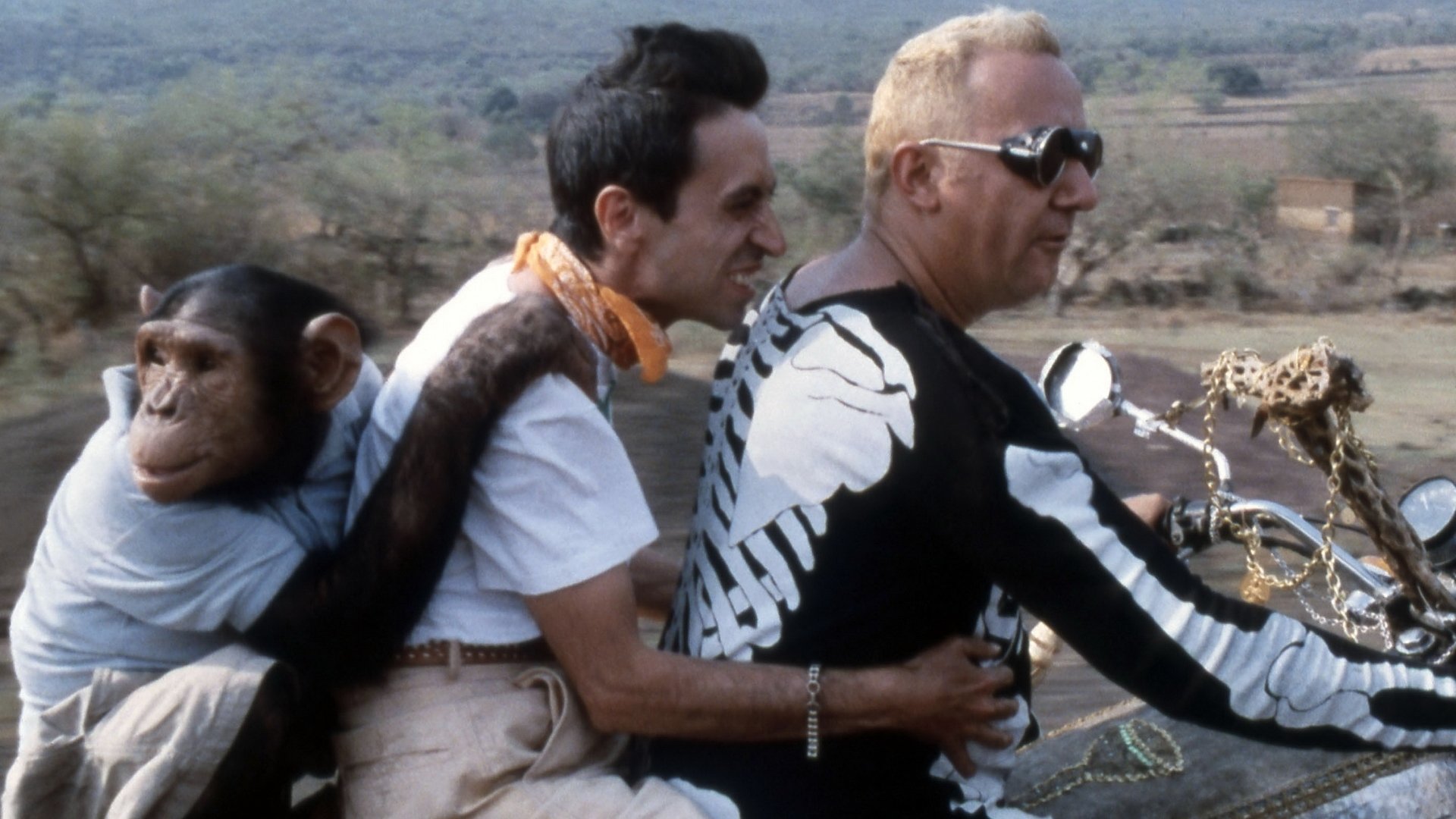 Backdrop for The Vengeance of the Winged Serpent