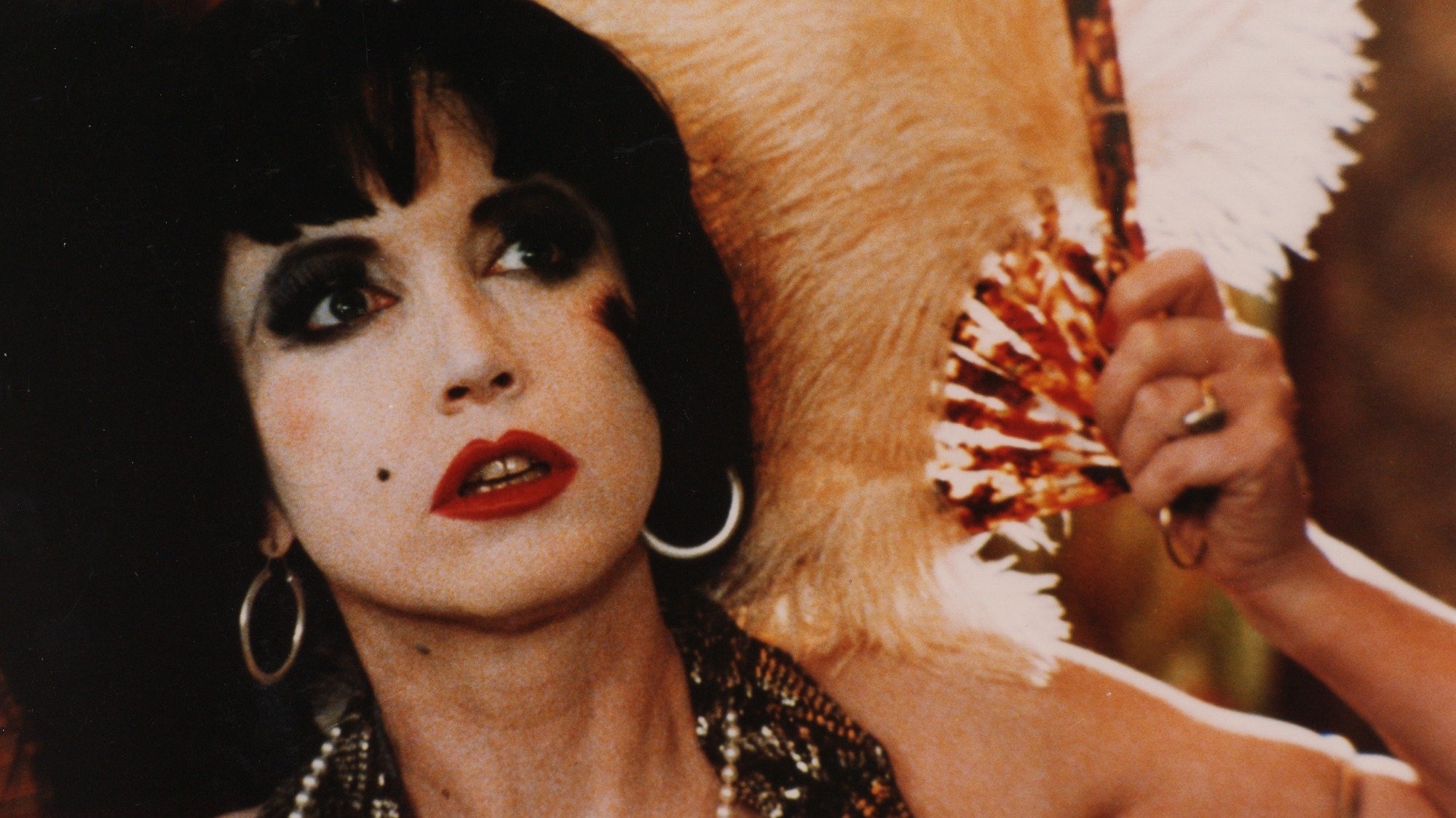 Backdrop for My Case