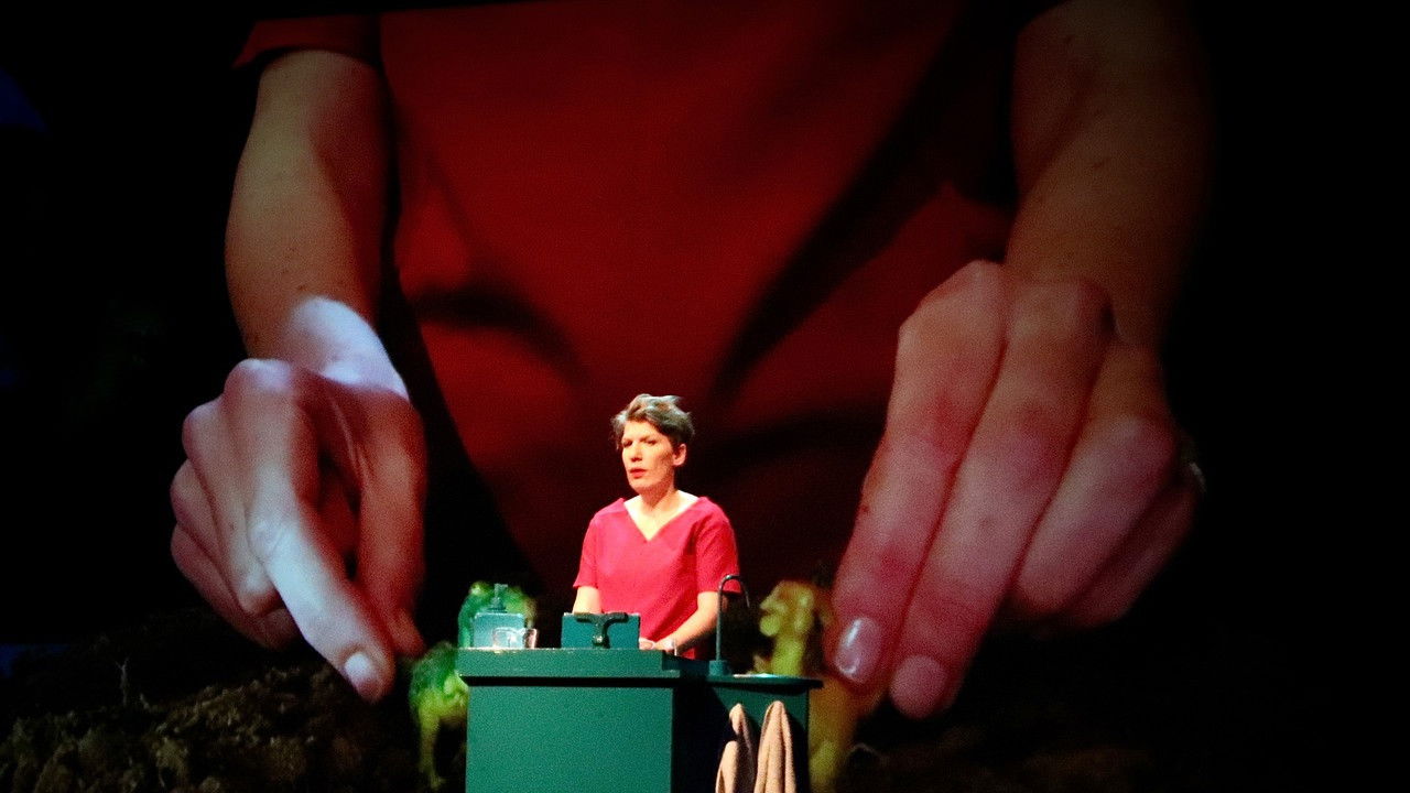 Backdrop for Paulien Cornelisse: Aanstalten