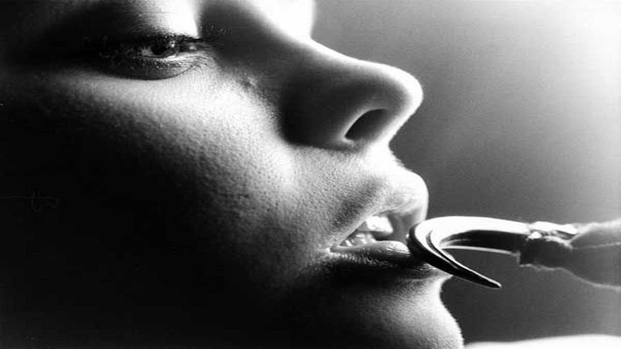 Backdrop for Little Red Riding Hood