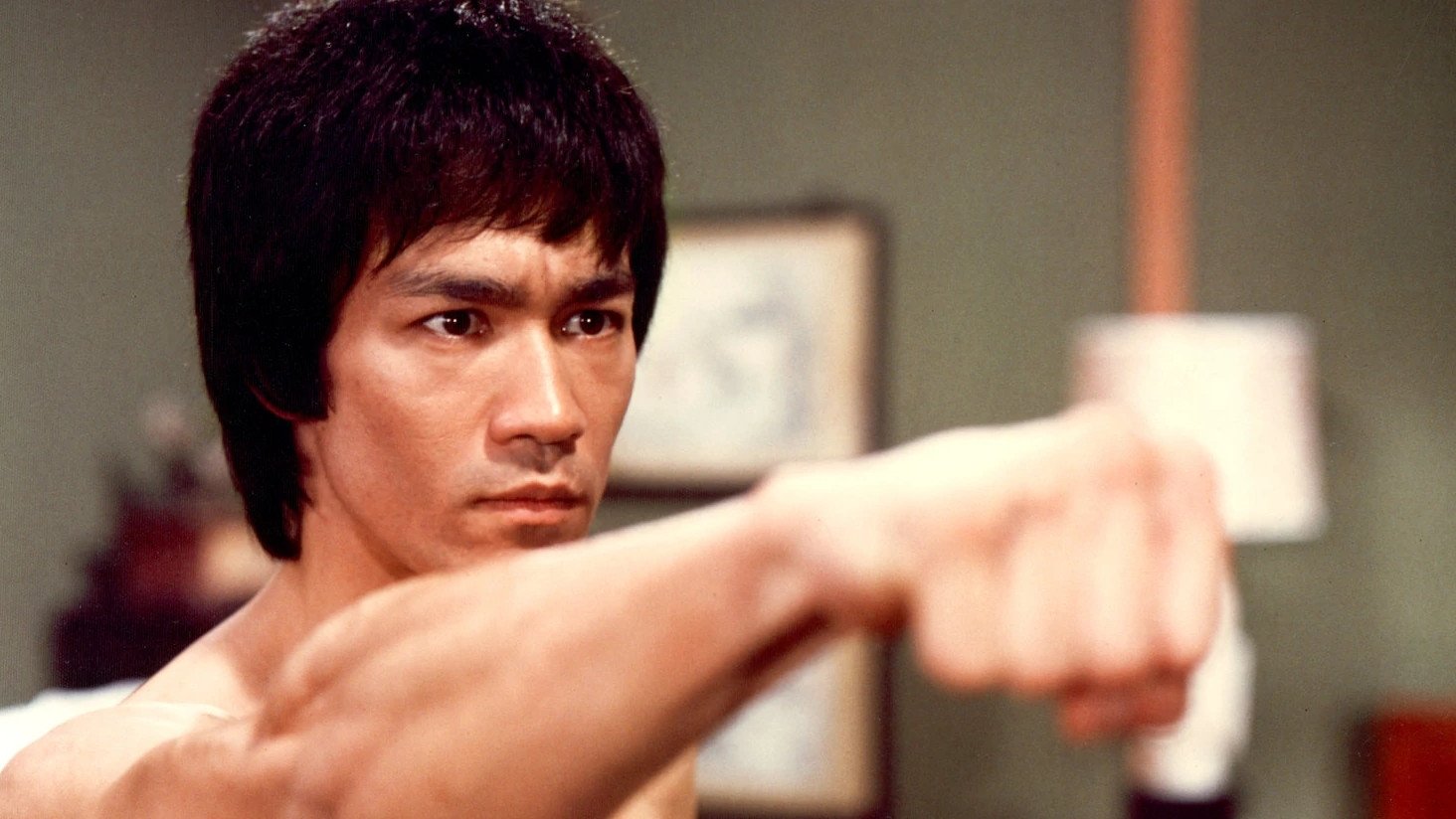 Backdrop for Bruce Lee: The Immortal Dragon