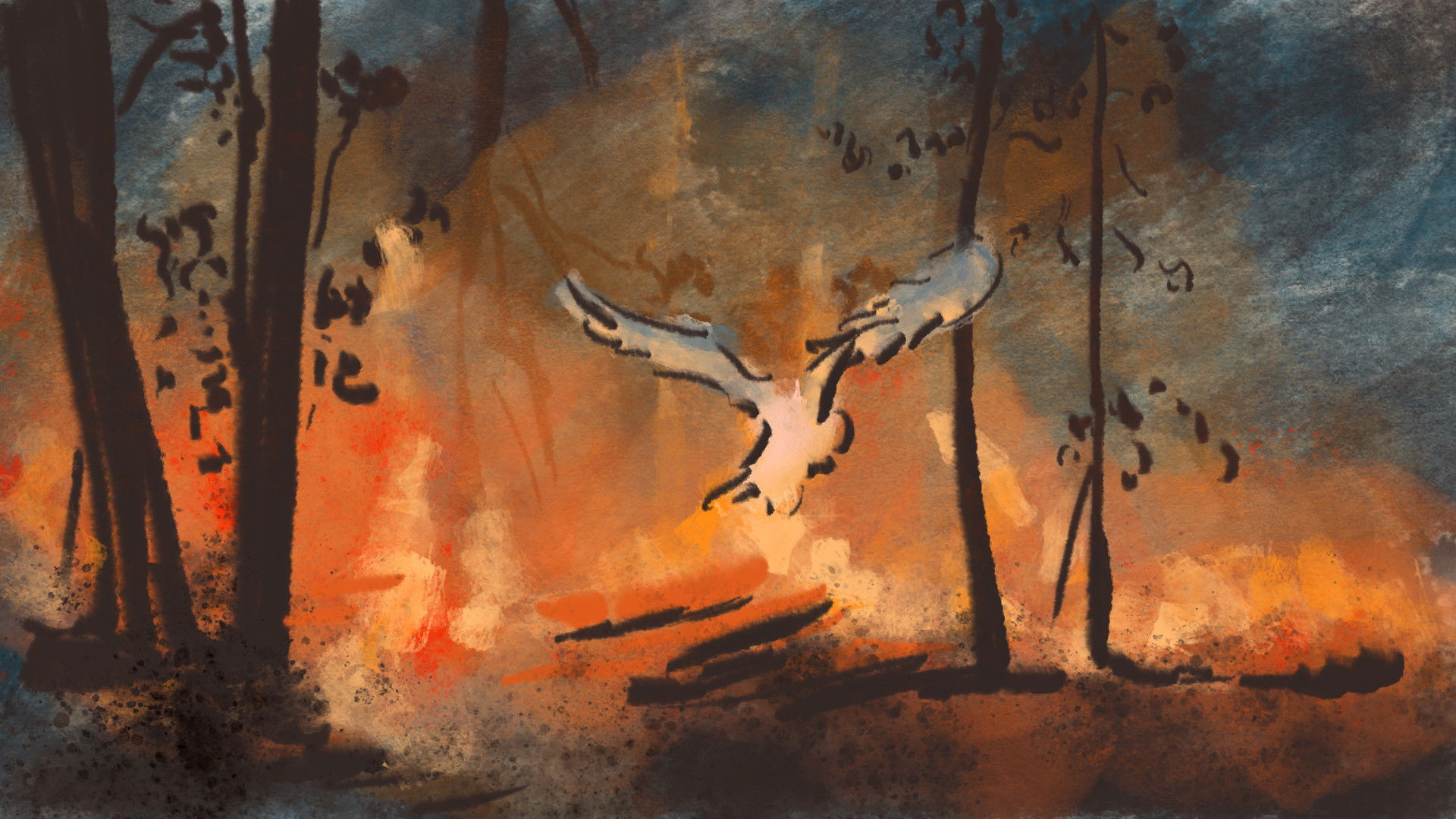 Backdrop for Chicken