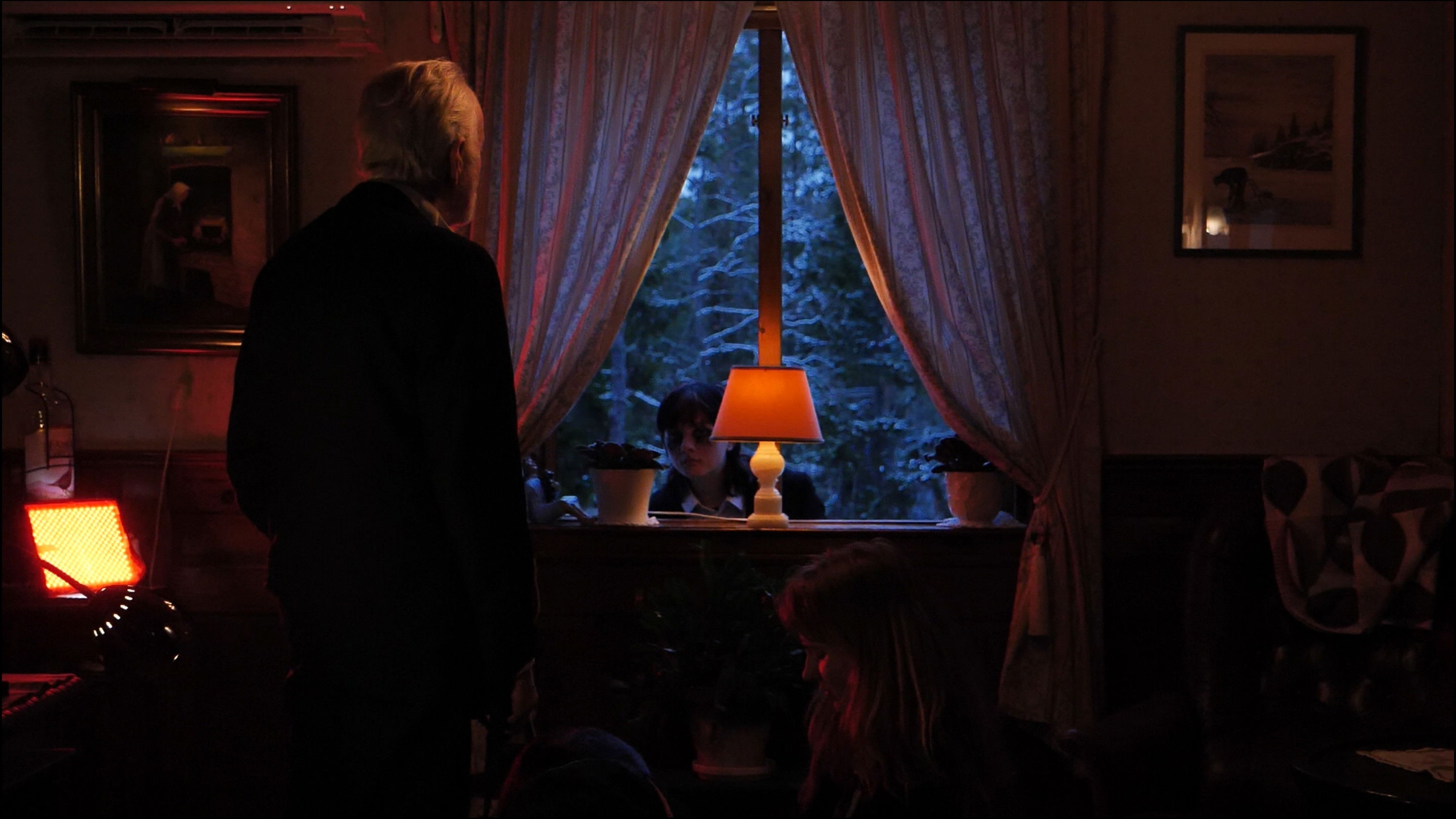 Backdrop for Time of Flowers