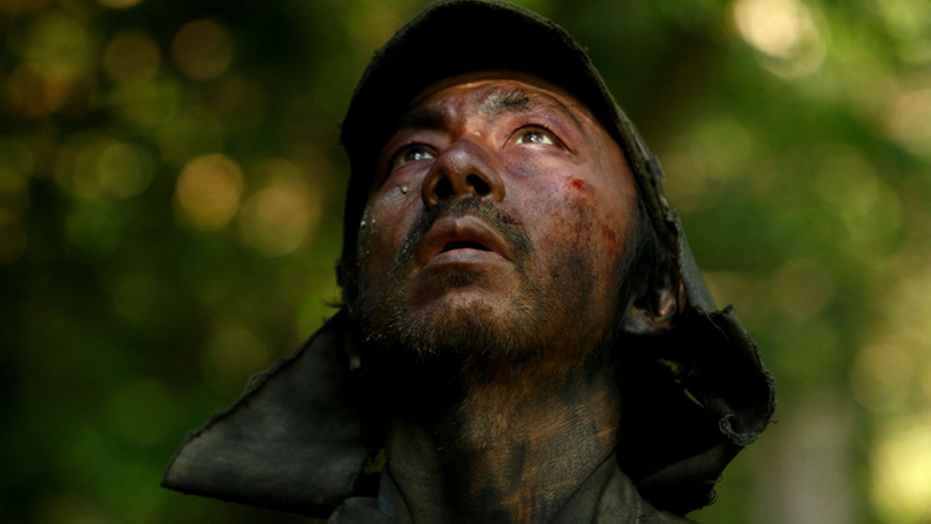 Backdrop for Fires on the Plain