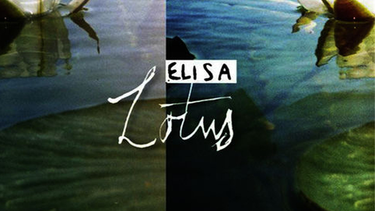 Backdrop for Elisa -  Lotus Live