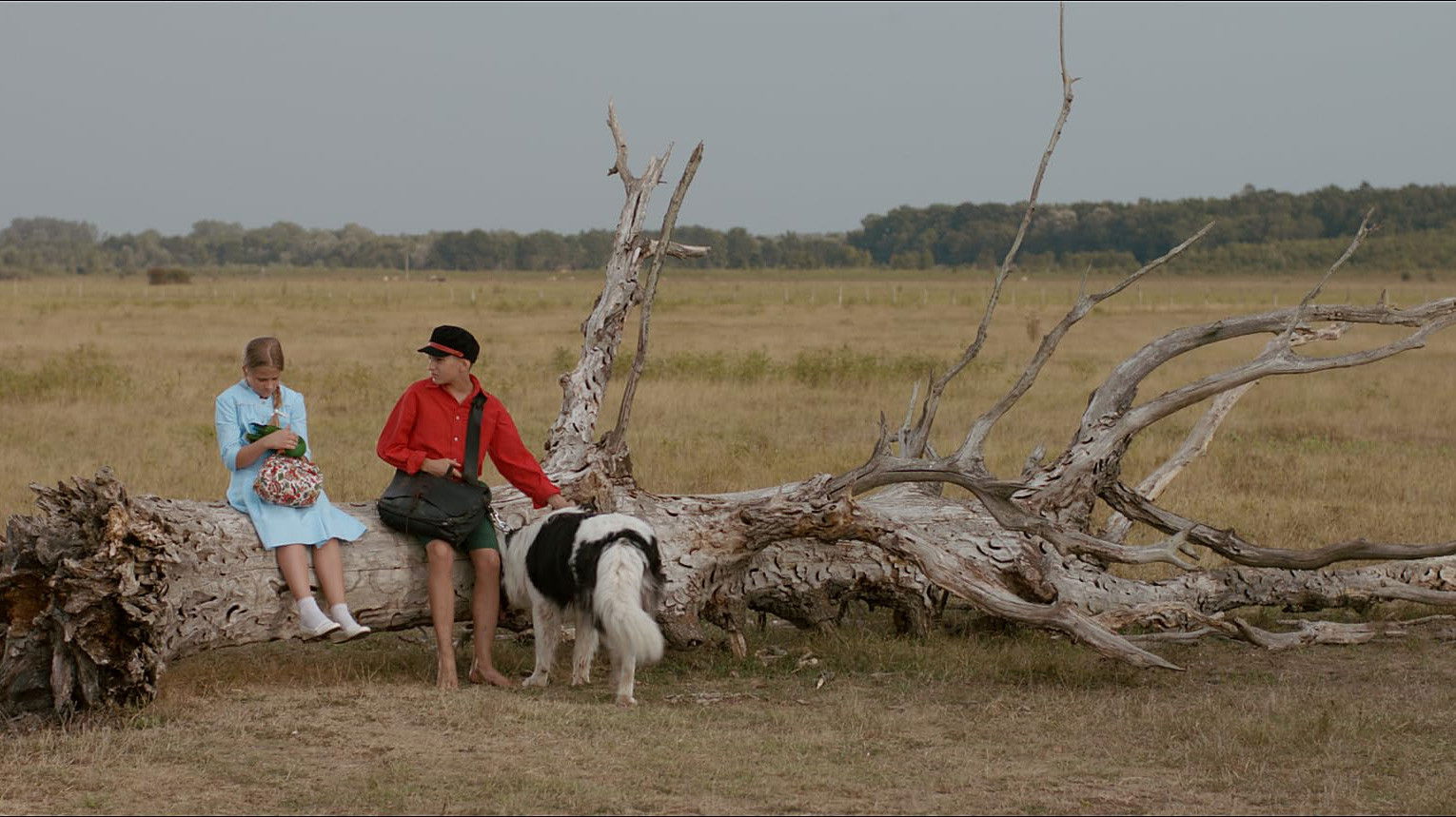 Backdrop for The Brave Adventures of a Little Shoemaker