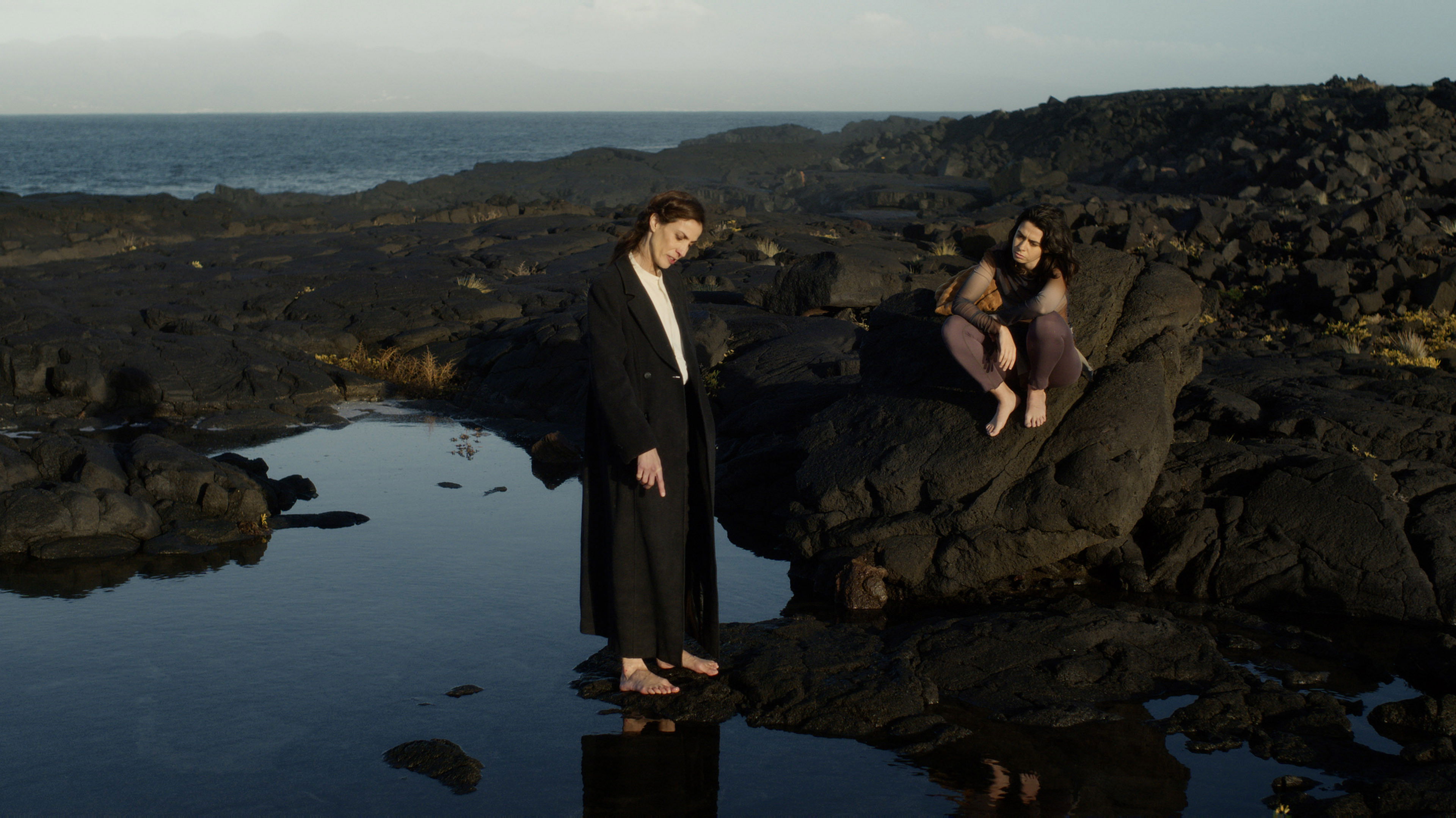 Backdrop for Dialogues After the End