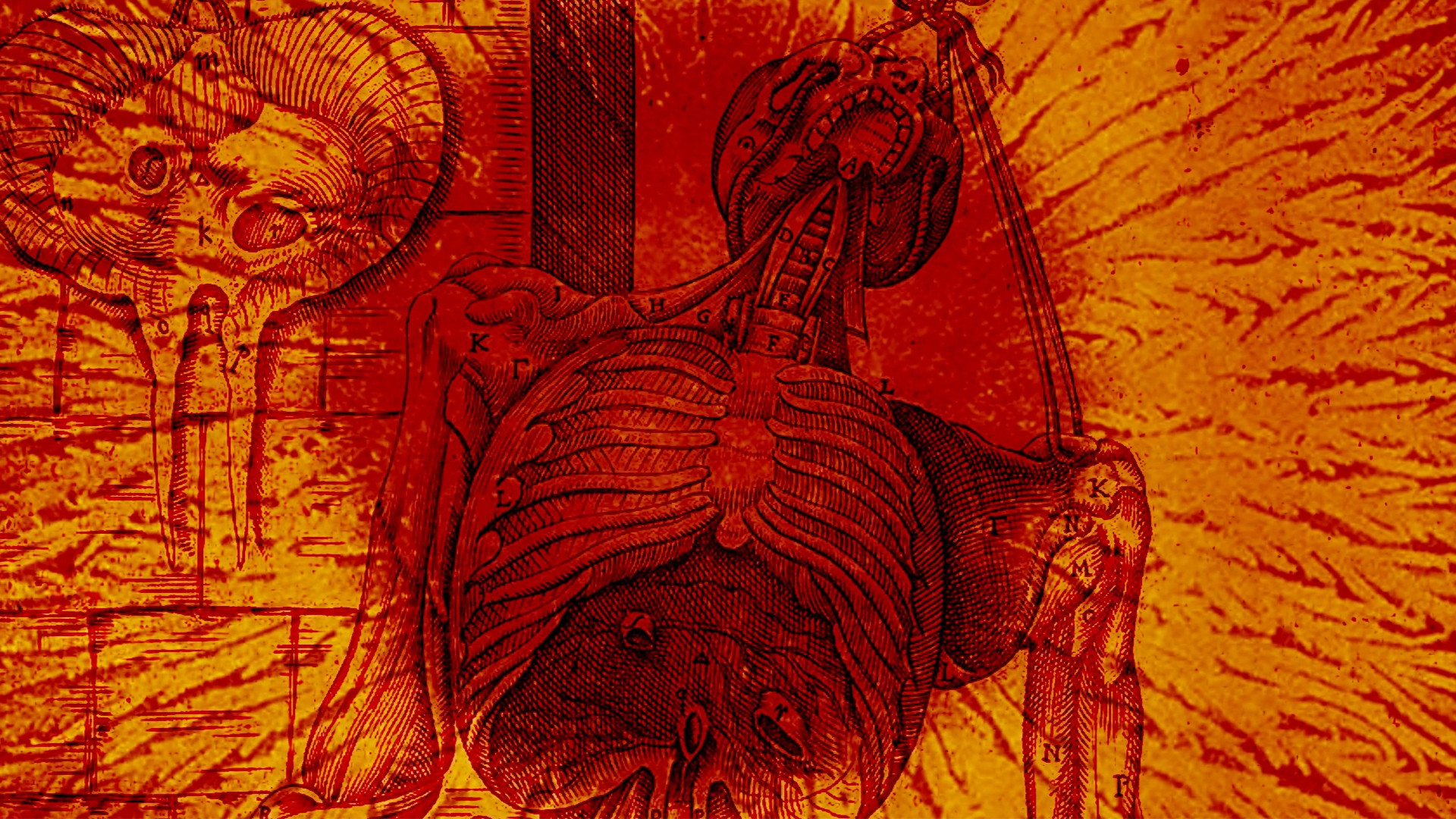 Backdrop for Gut Instinct