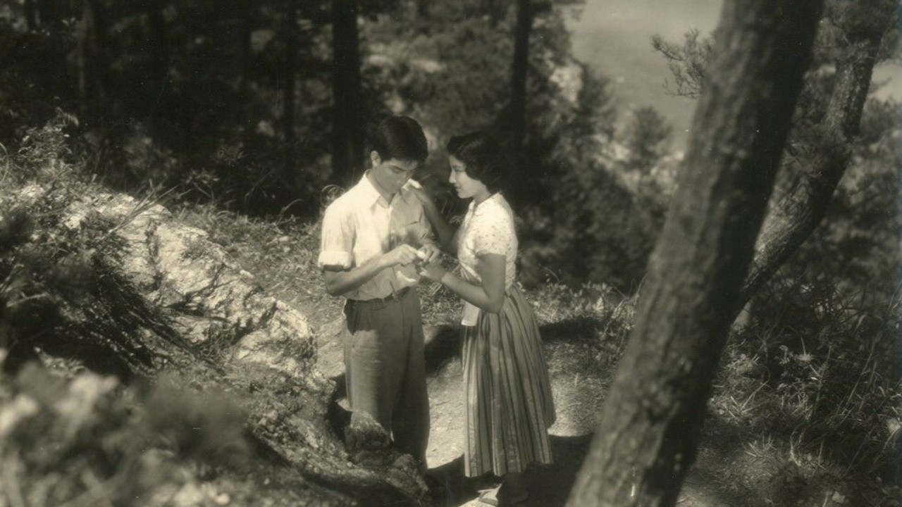 Backdrop for The Surf