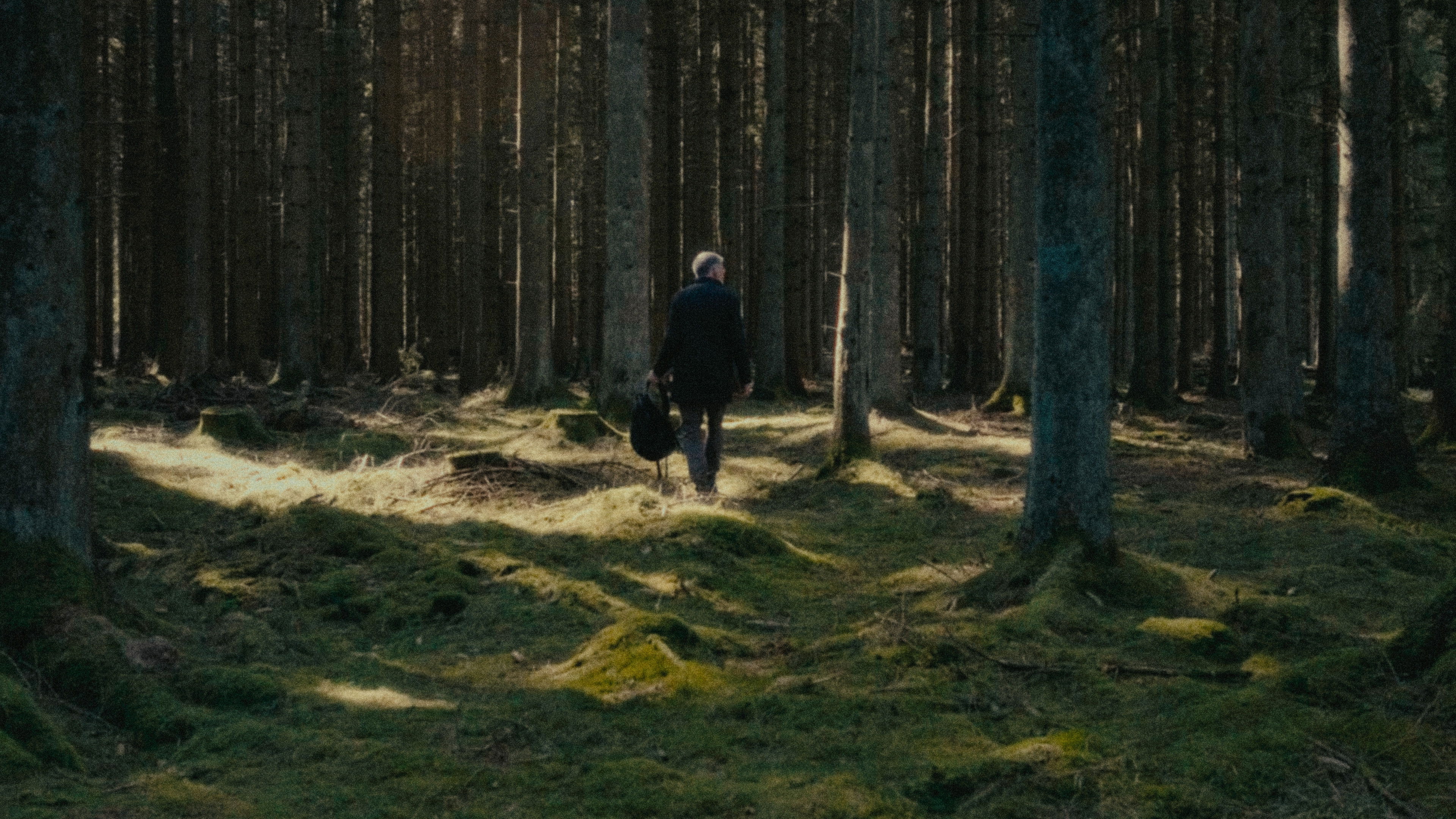 Backdrop for The Last Giants