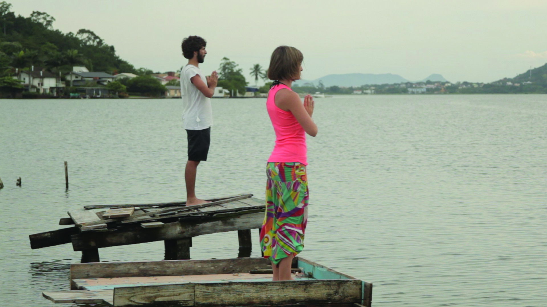Backdrop for Portrait of Animal Behavior