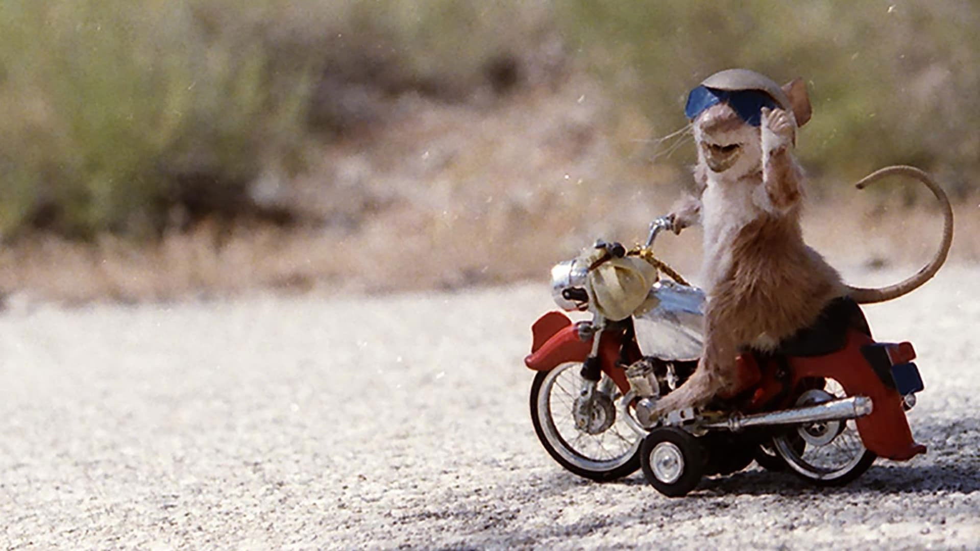 Backdrop for Runaway Ralph