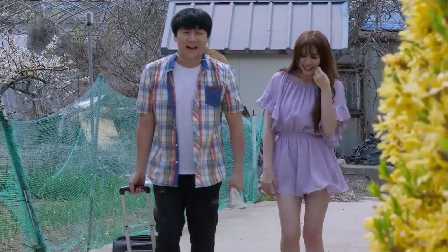 Backdrop for Rice Paddy Elf