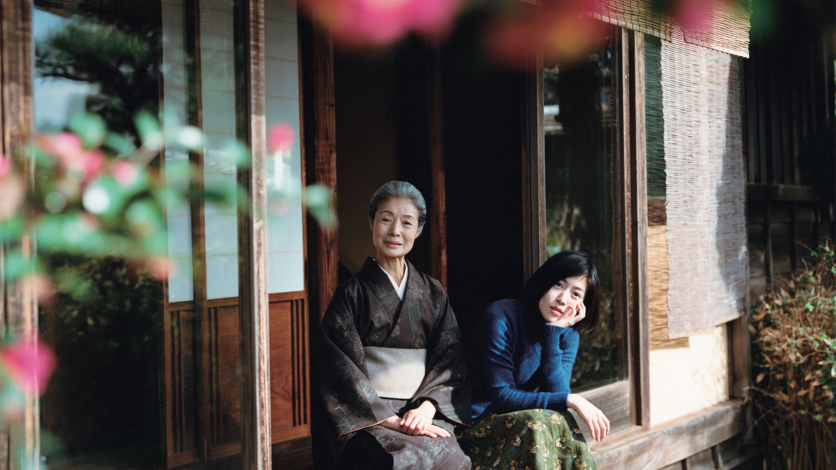 Backdrop for Garden of Camellias