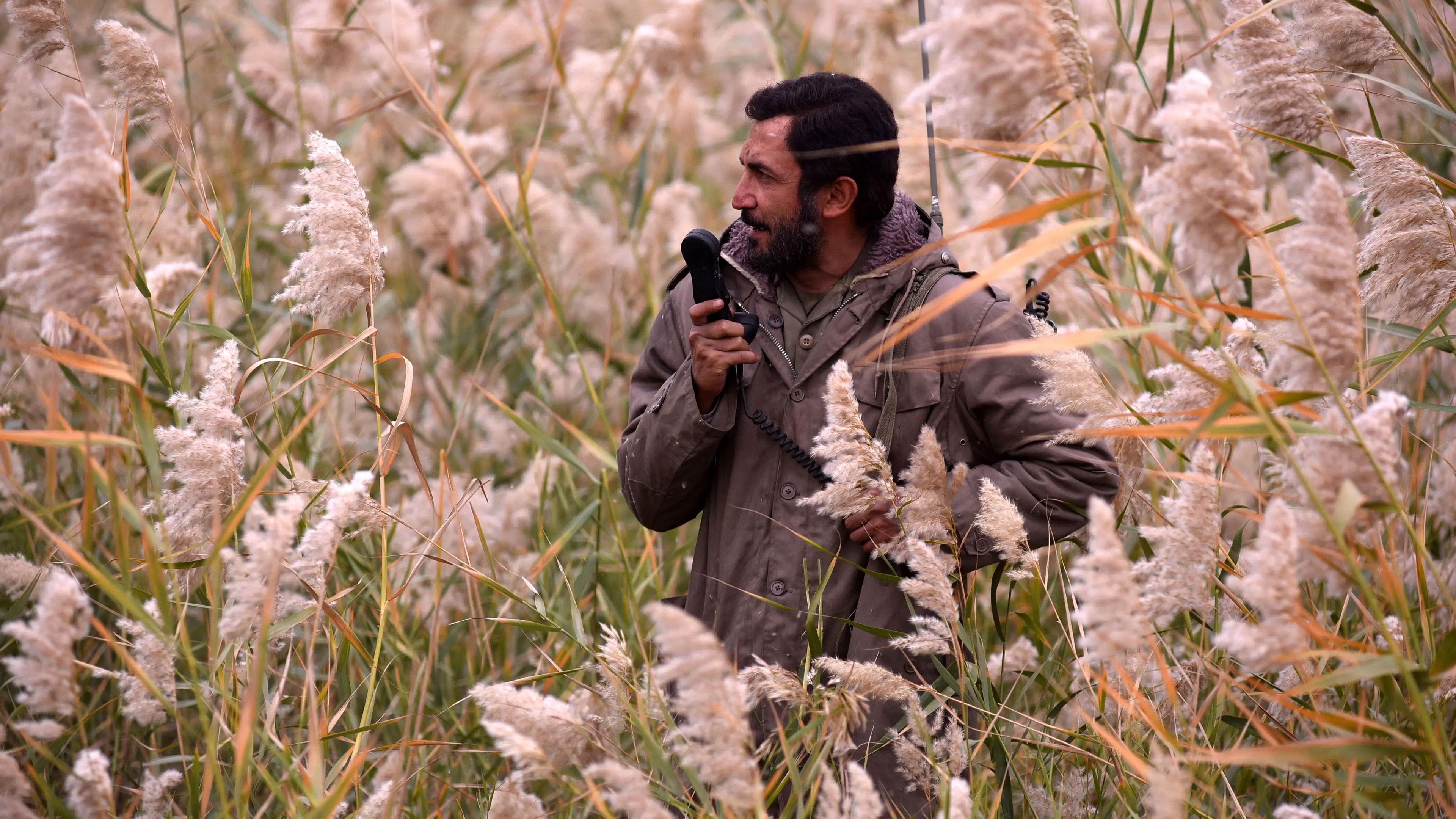 Backdrop for The Situation of Mehdi