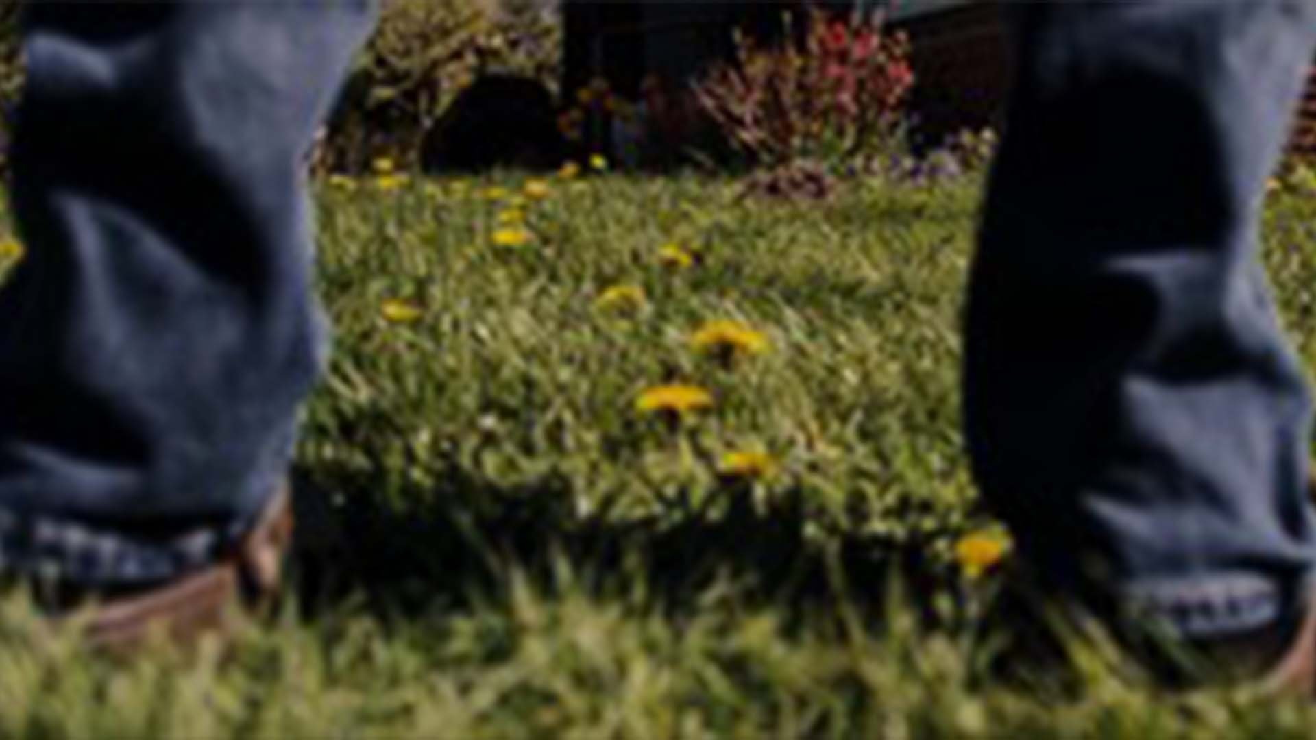 Backdrop for Will vs. Wilderness