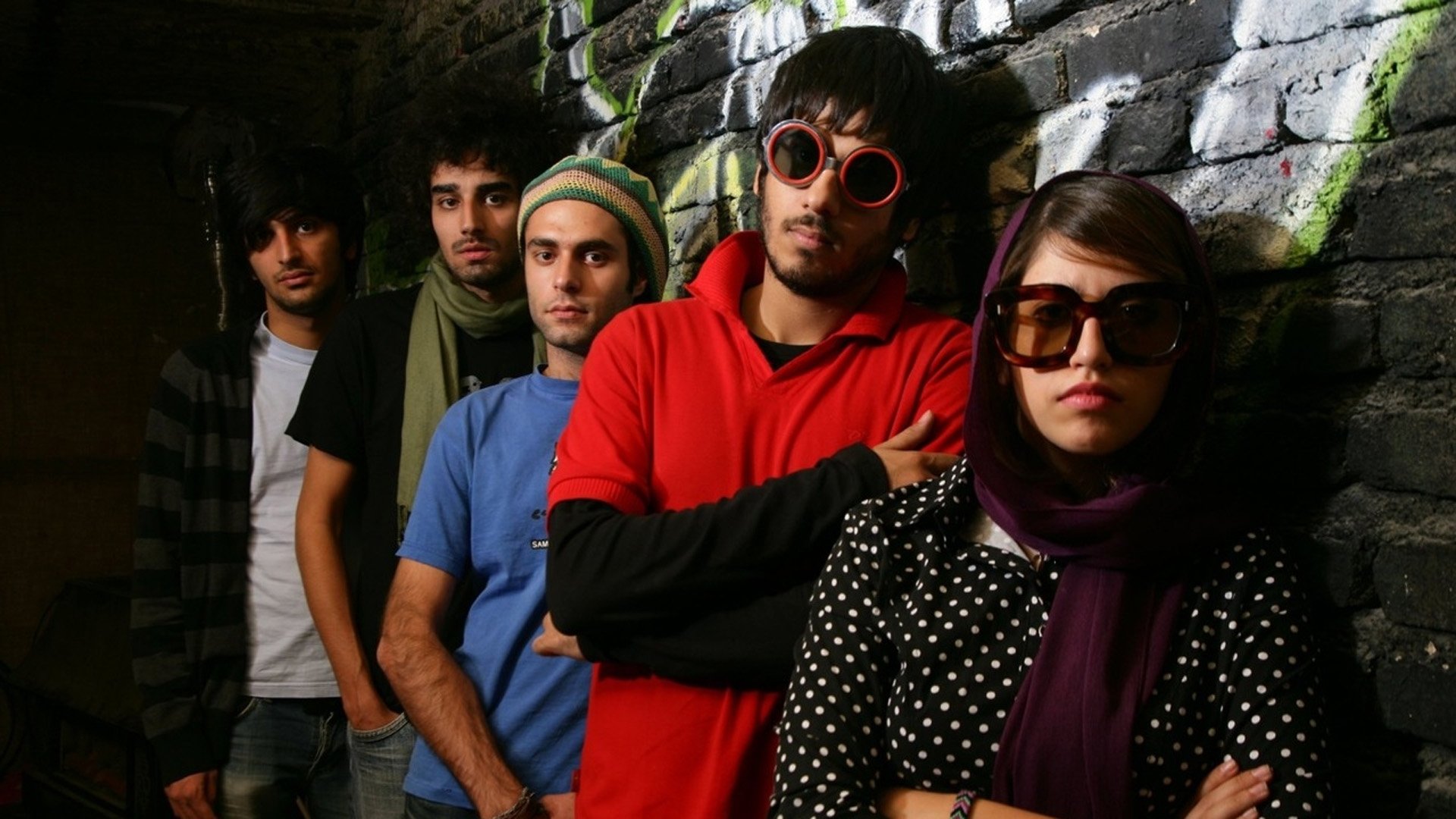 Backdrop for No One Knows About Persian Cats