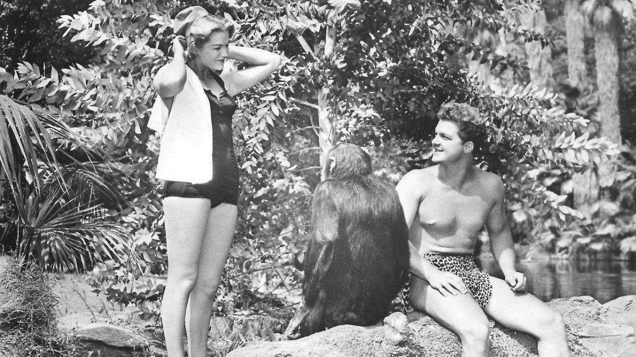 Backdrop for The Golden Idol